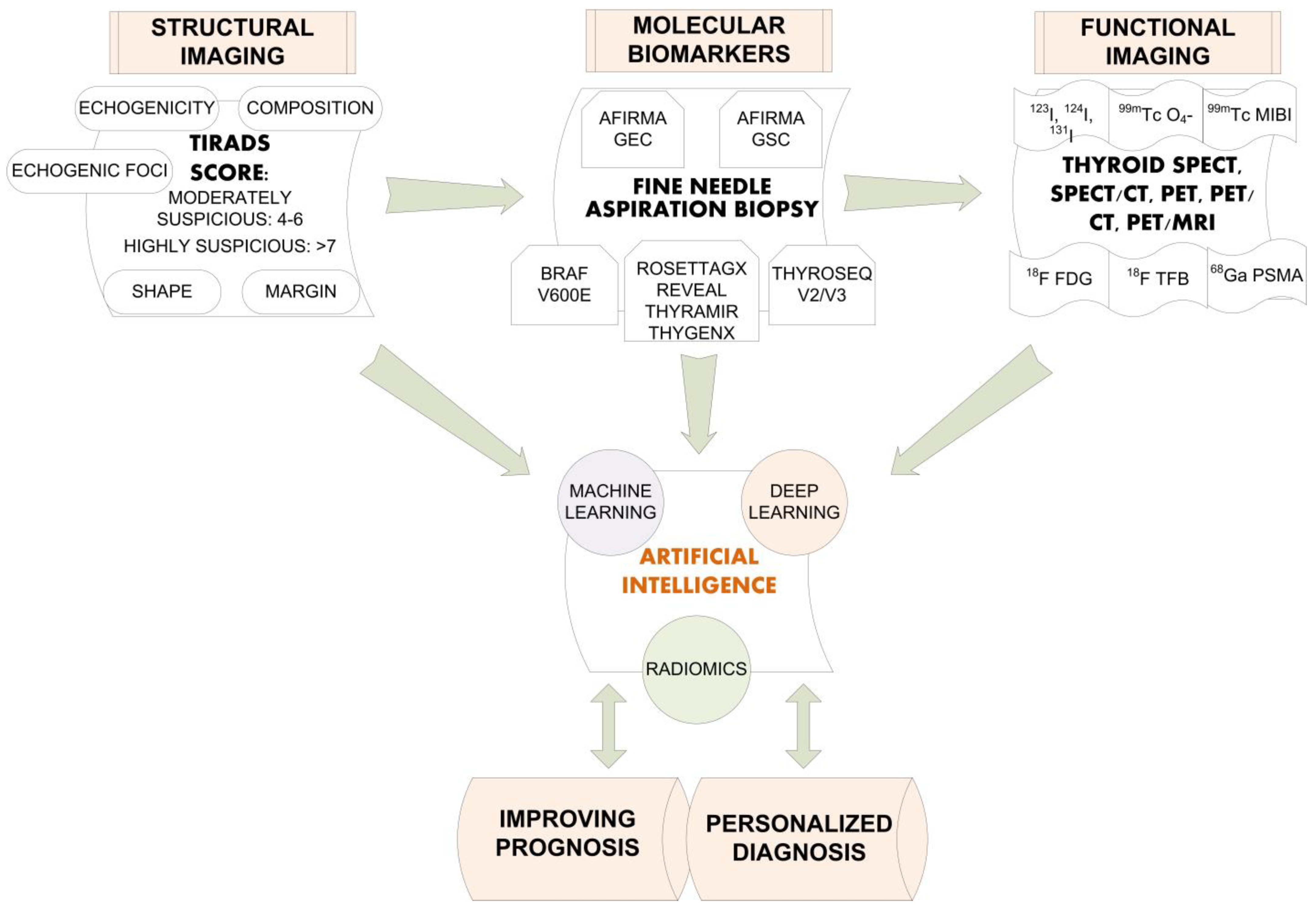 Diagnostics 12 00944 g005