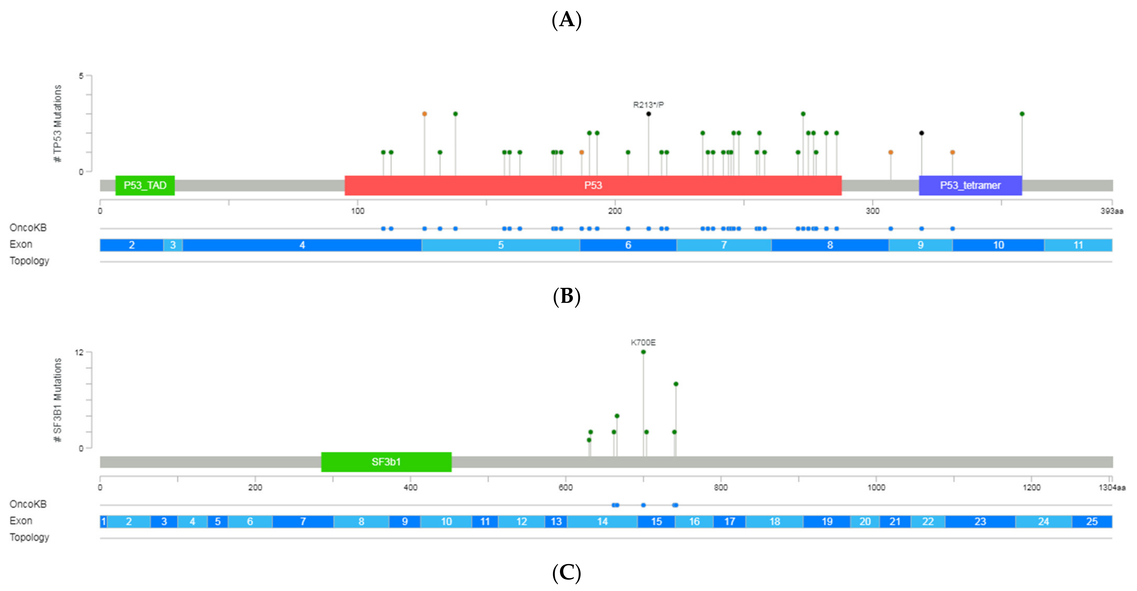 Diagnostics 12 00953 g002a