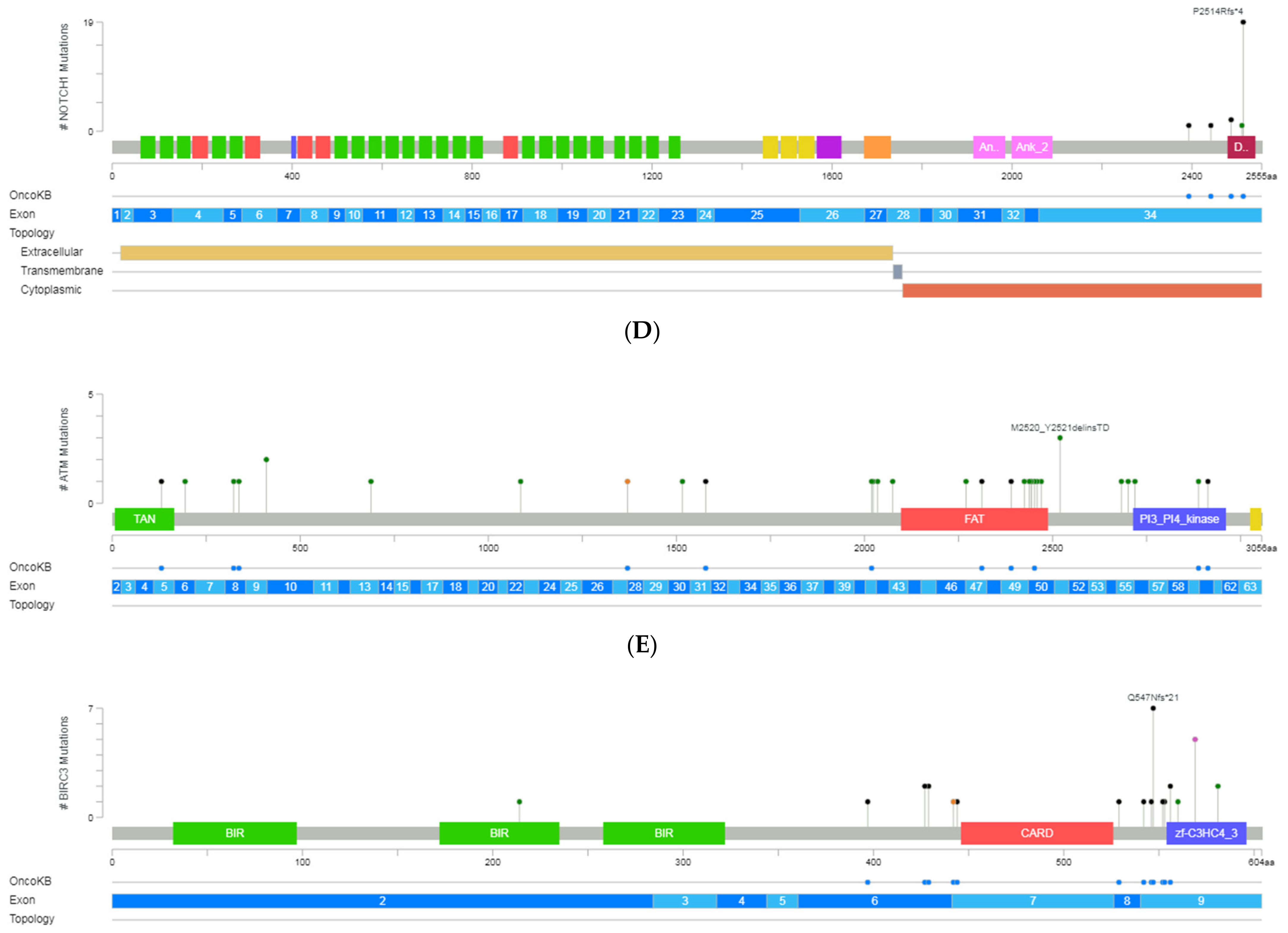 Diagnostics 12 00953 g002b