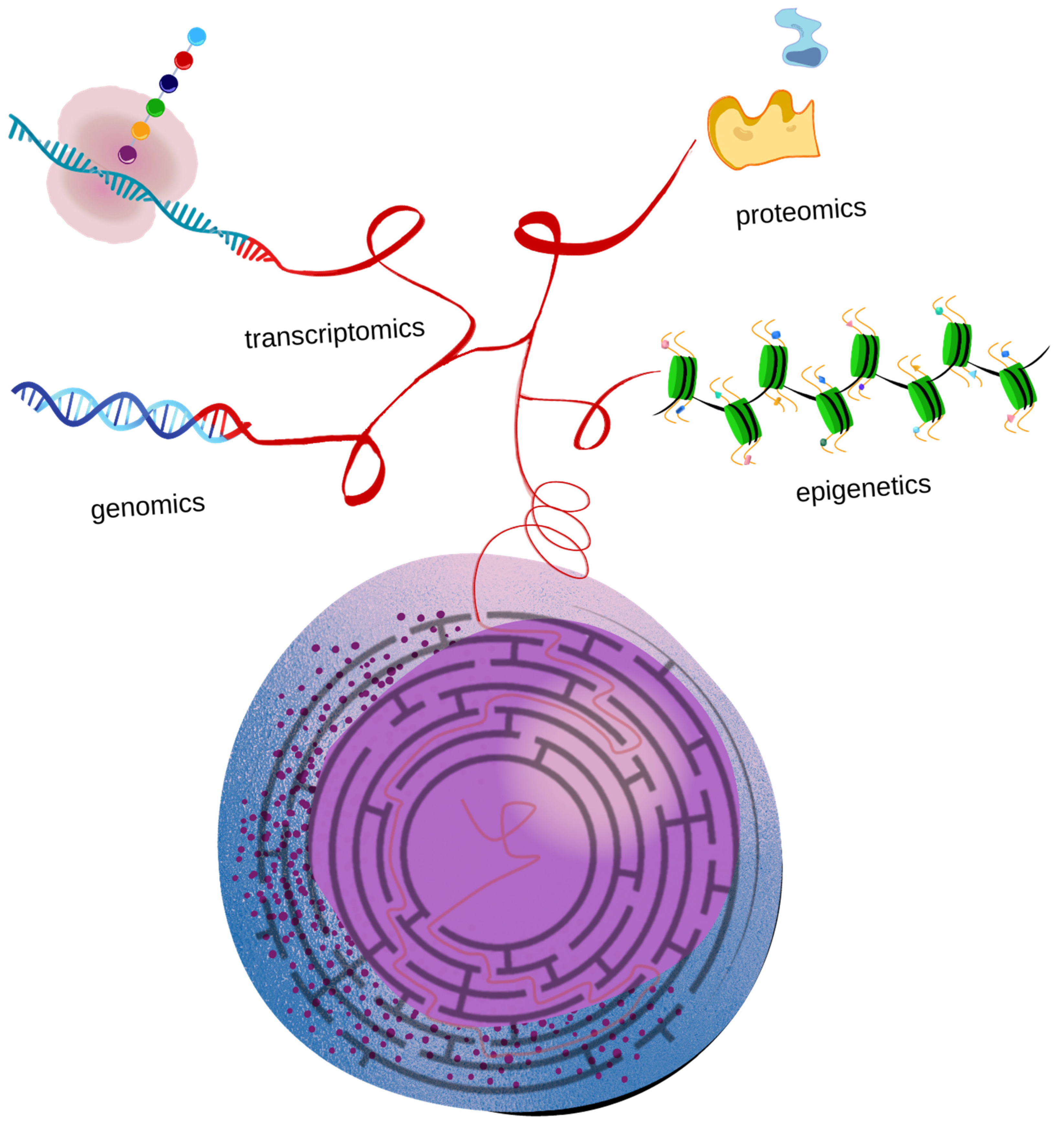 Diagnostics 12 00996 g001
