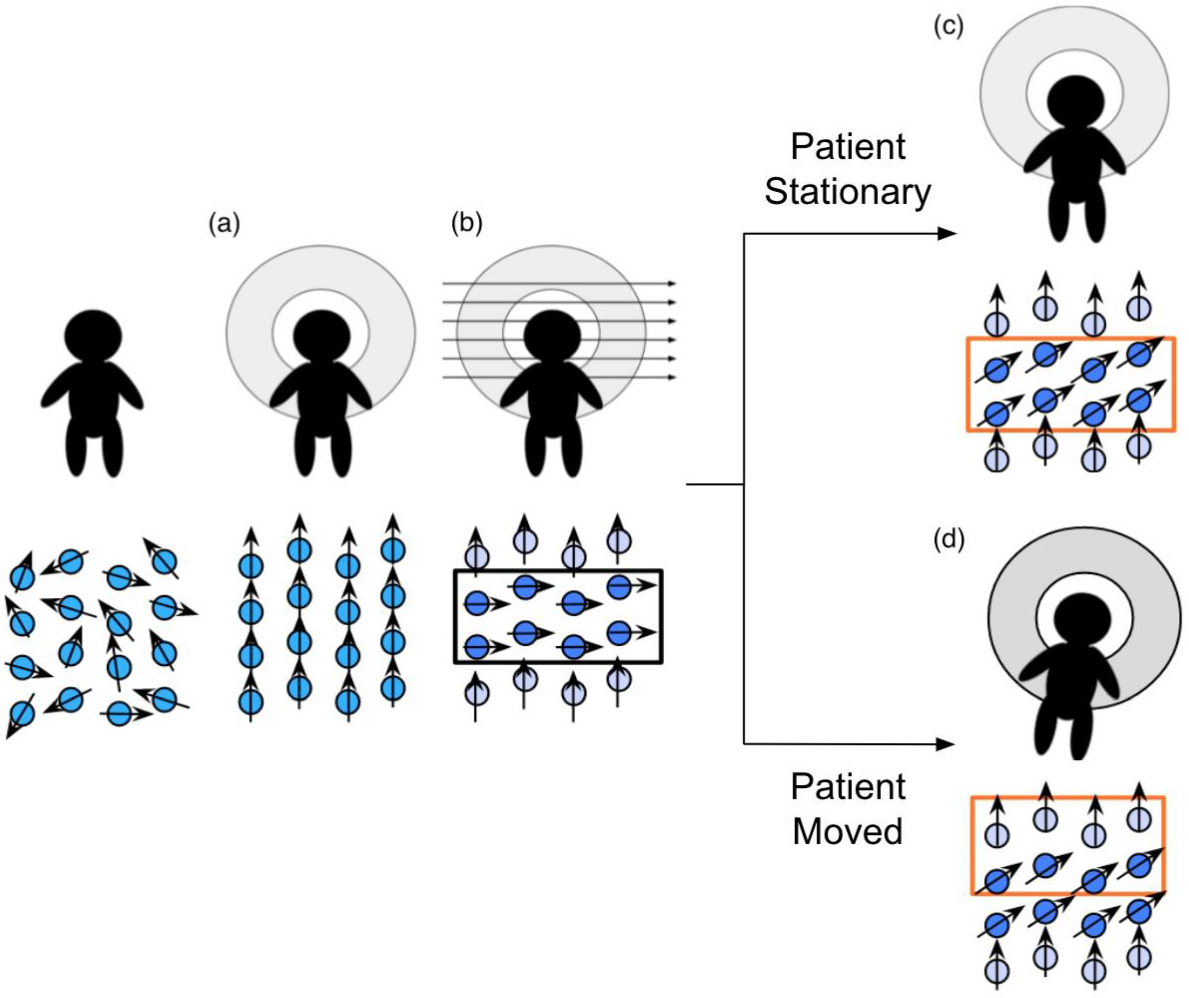 Diagnostics 12 01032 g002 Diagnostics 12 01032 g002