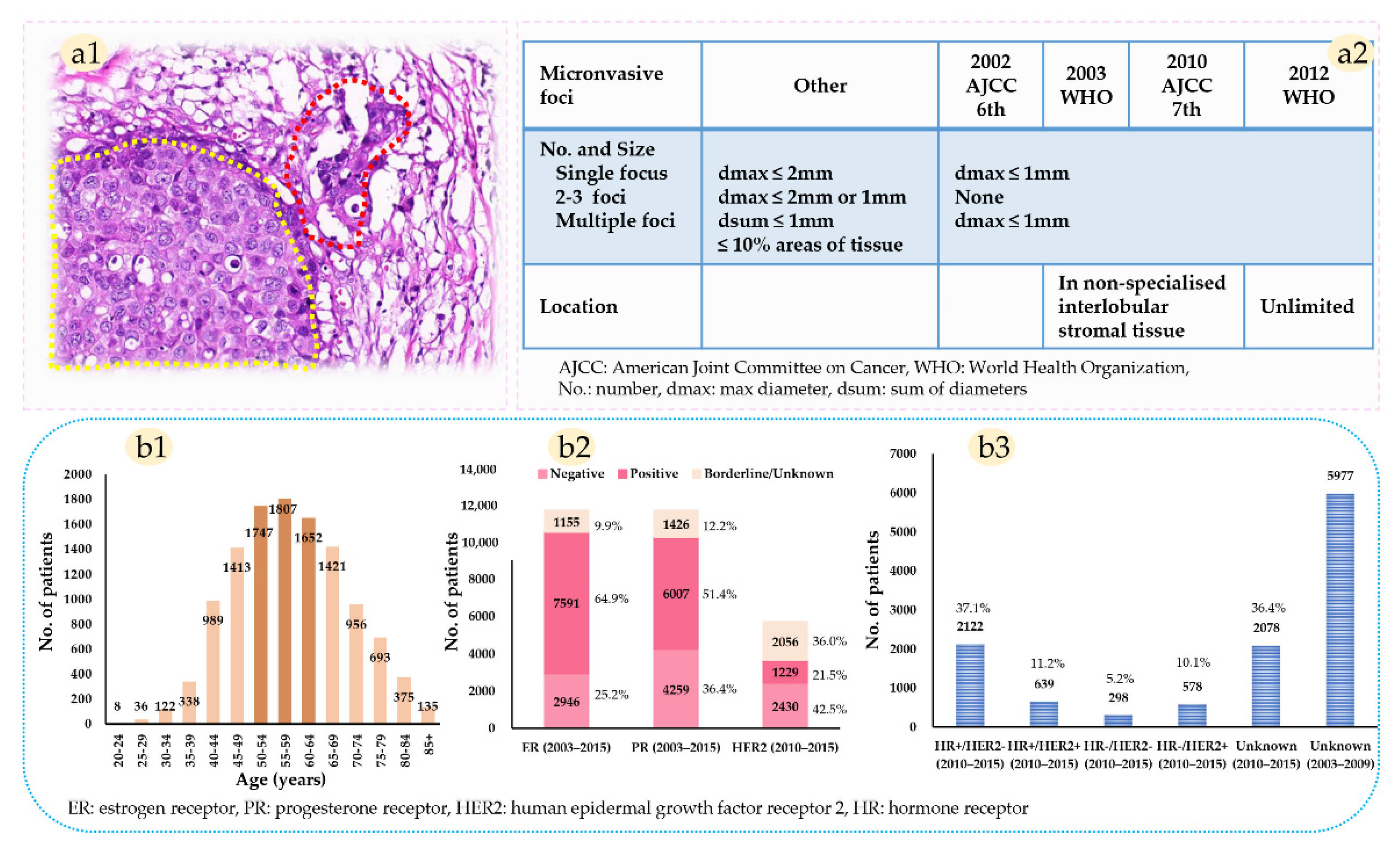 Diagnostics 12 01049 g002