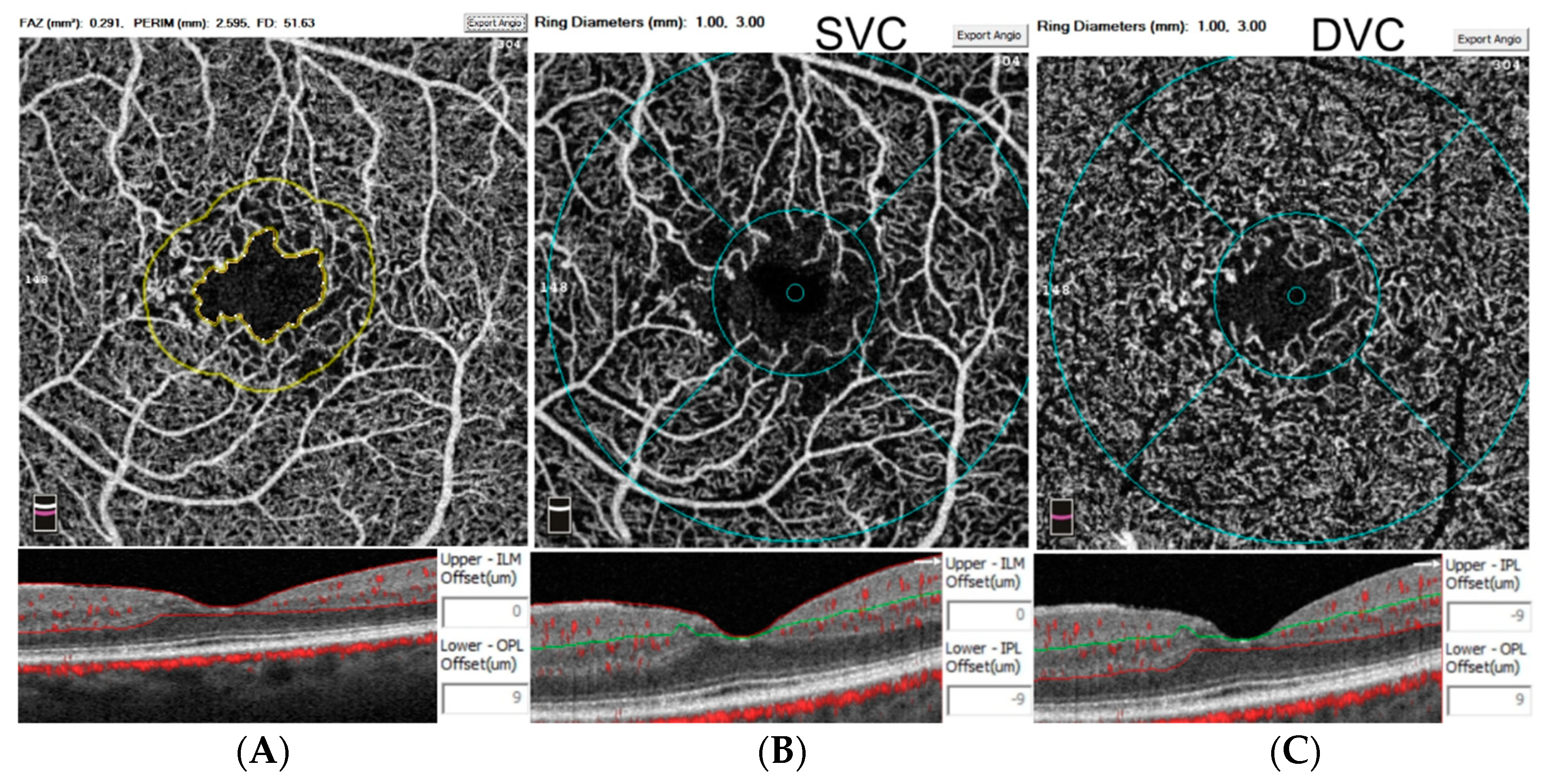Diagnostics 12 01050 g001