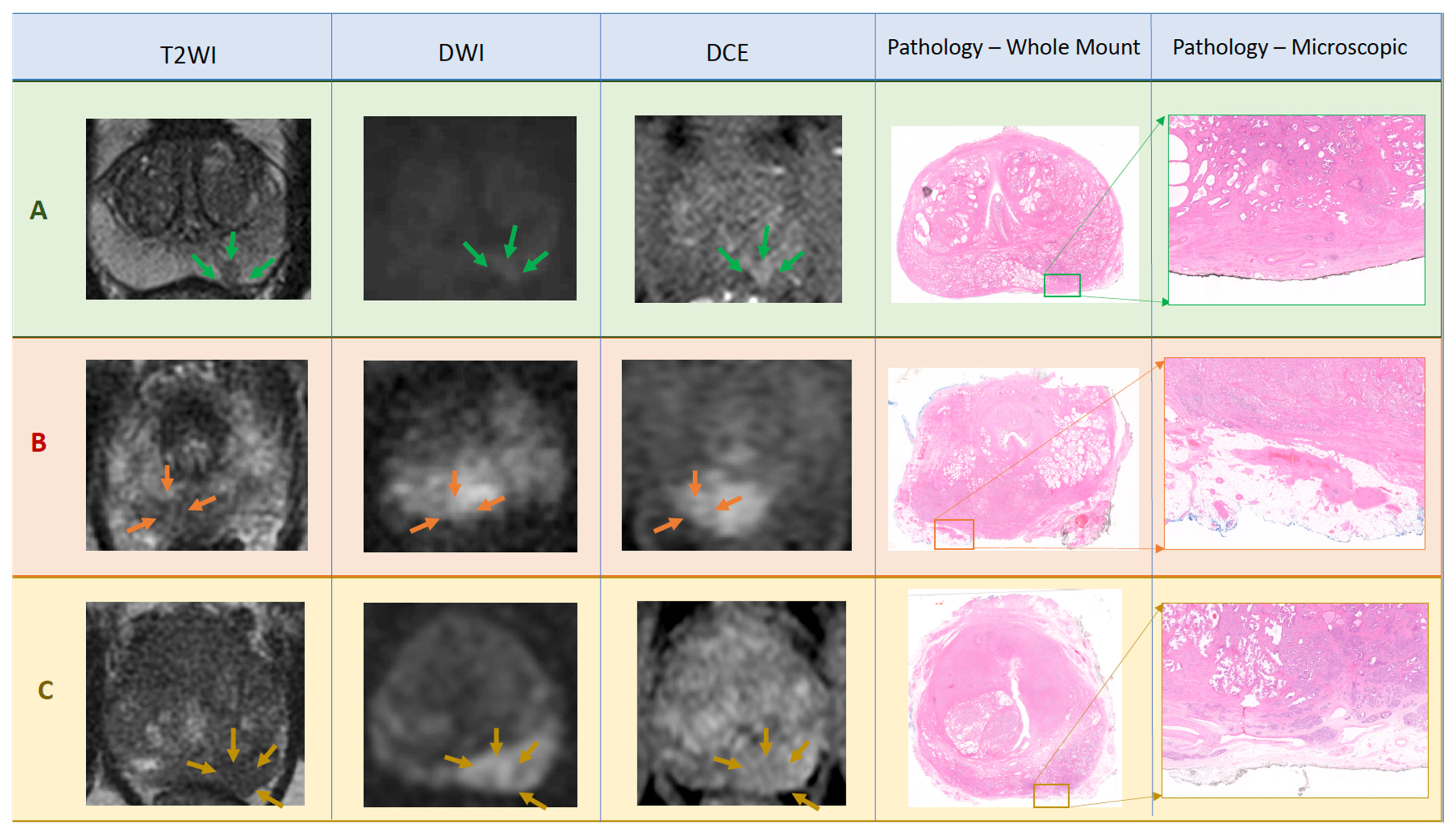 Diagnostics 12 01057 g002