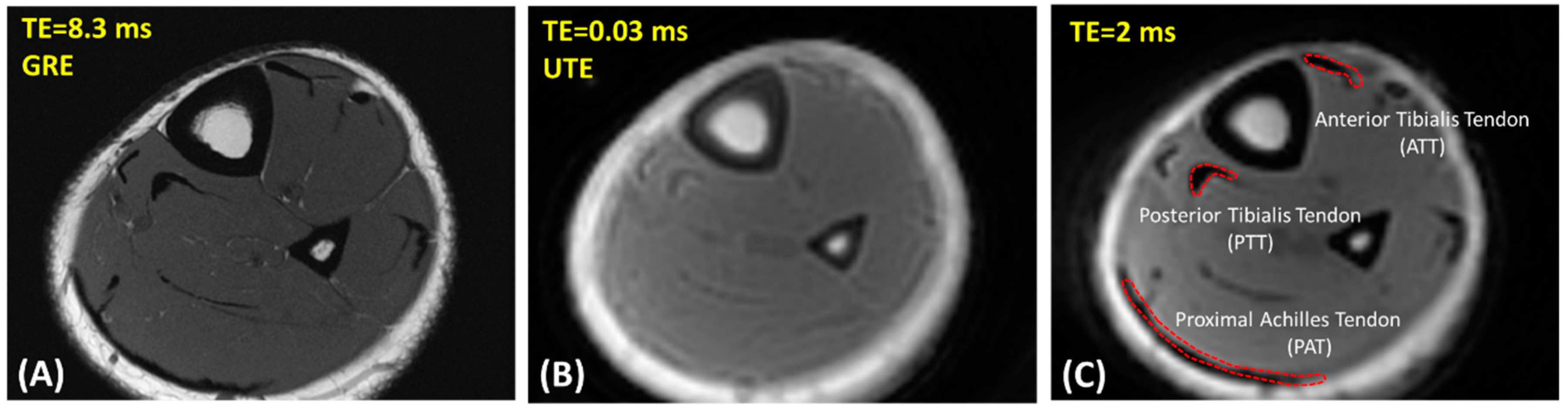 Diagnostics 12 01061 g001 Diagnostics 12 01061 g001