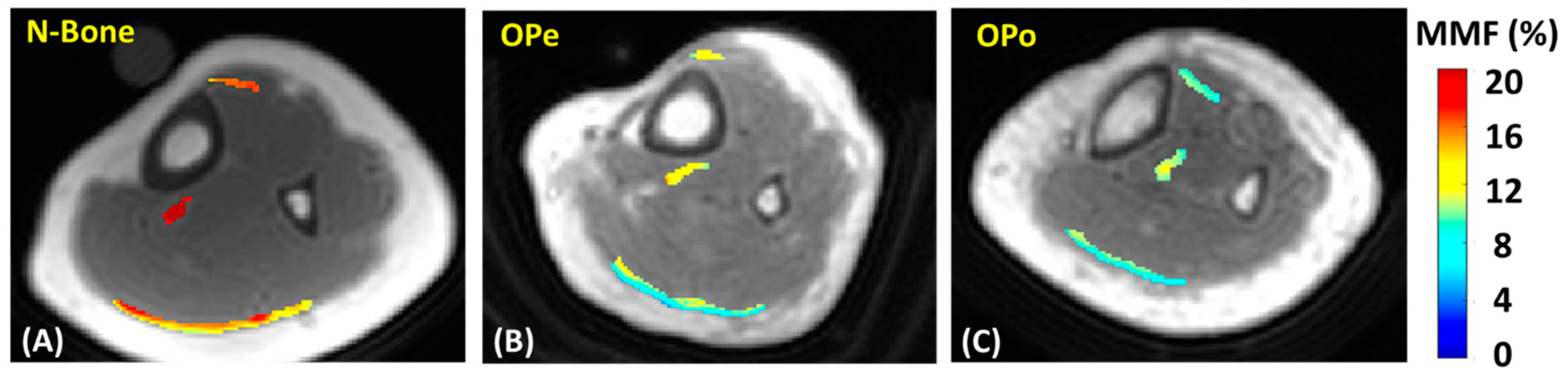 Diagnostics 12 01061 g002 Diagnostics 12 01061 g002