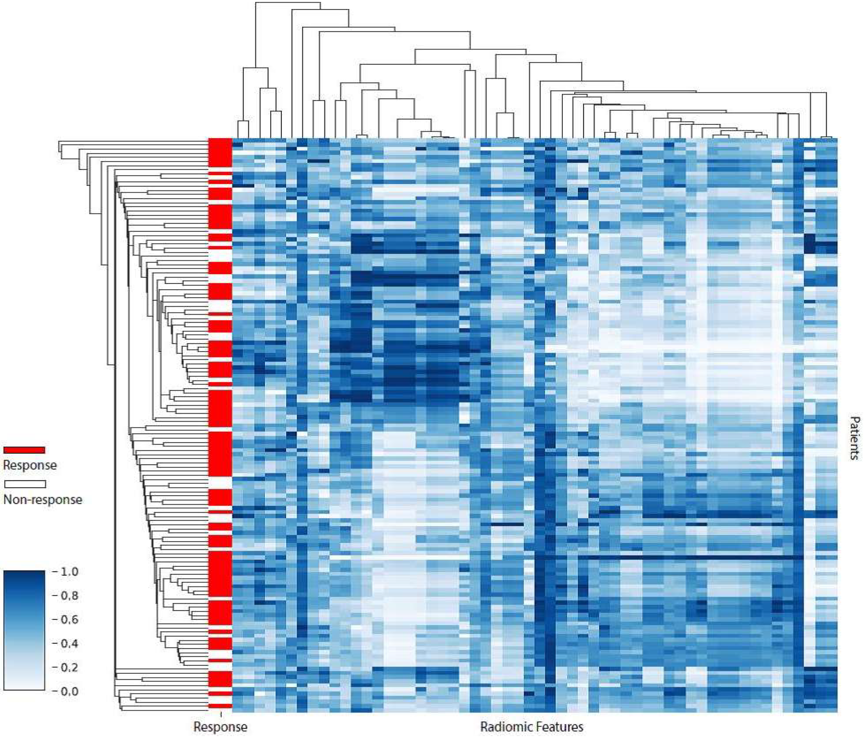 Diagnostics 12 01070 g003