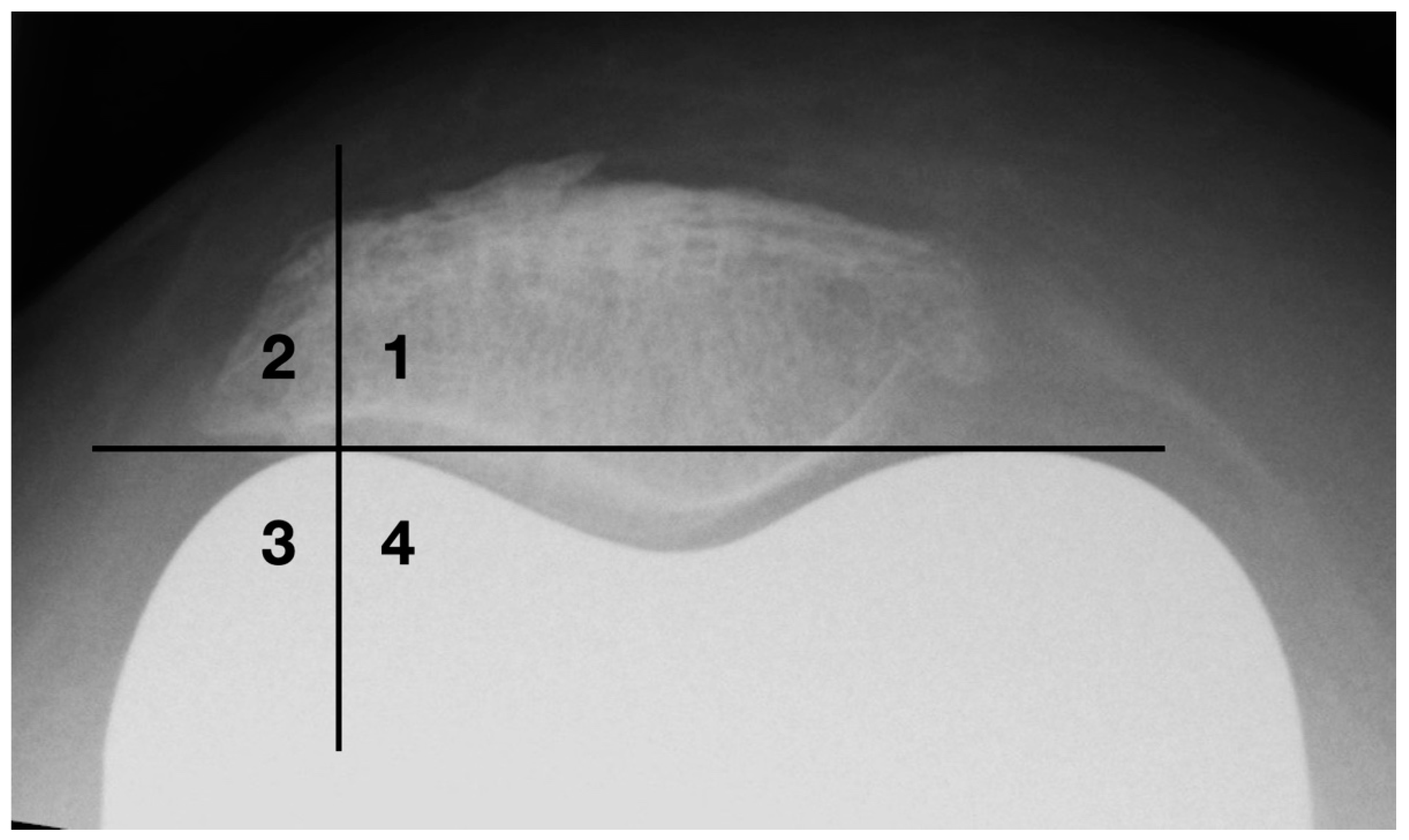 Diagnostics 12 01082 g007