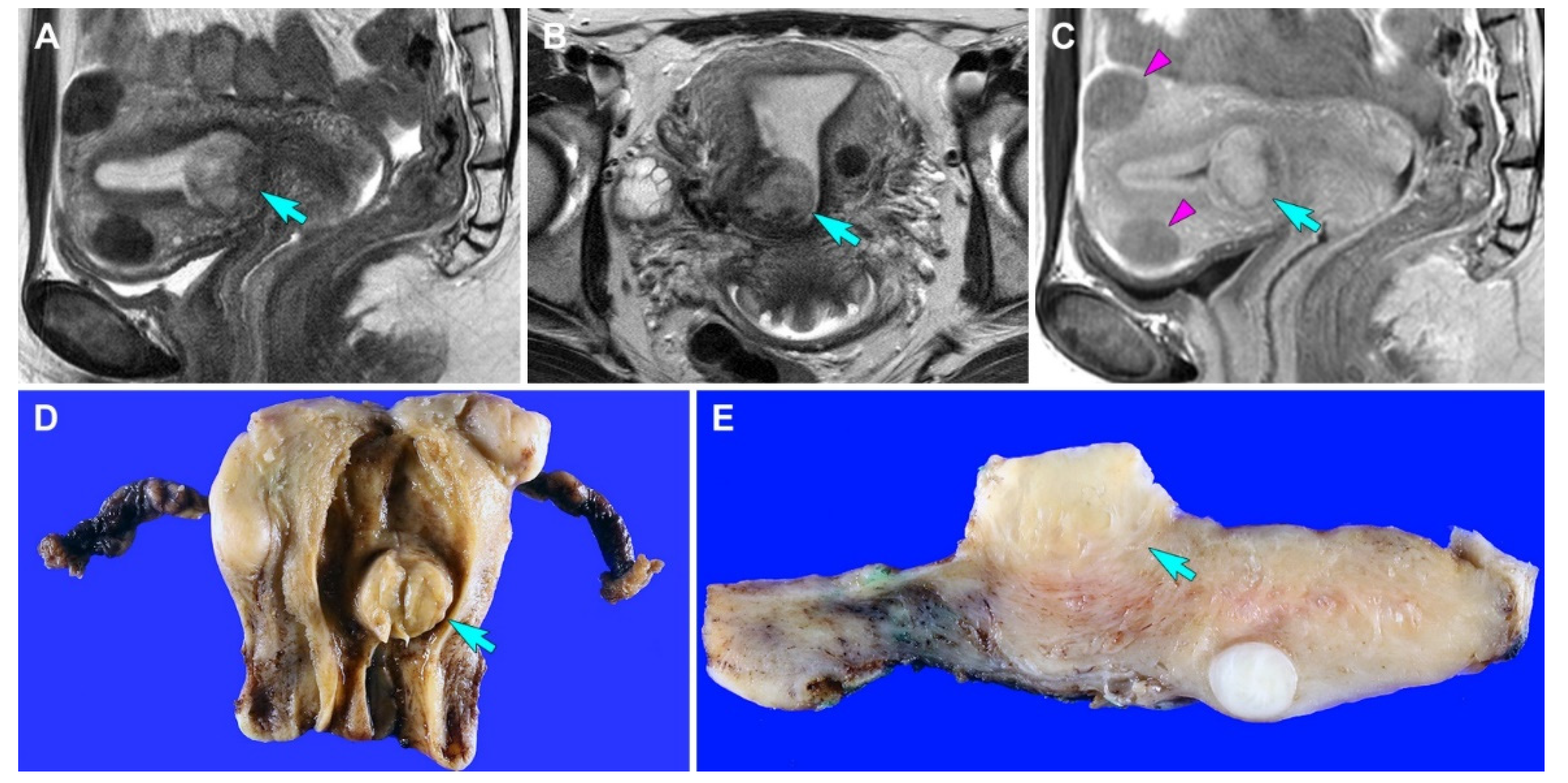 Diagnostics 12 01102 g001