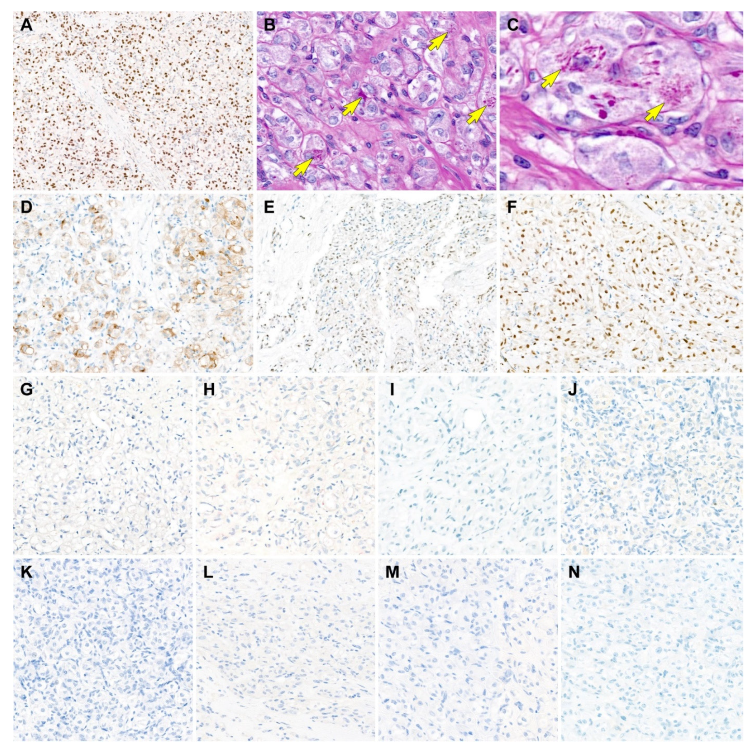 Diagnostics 12 01102 g003