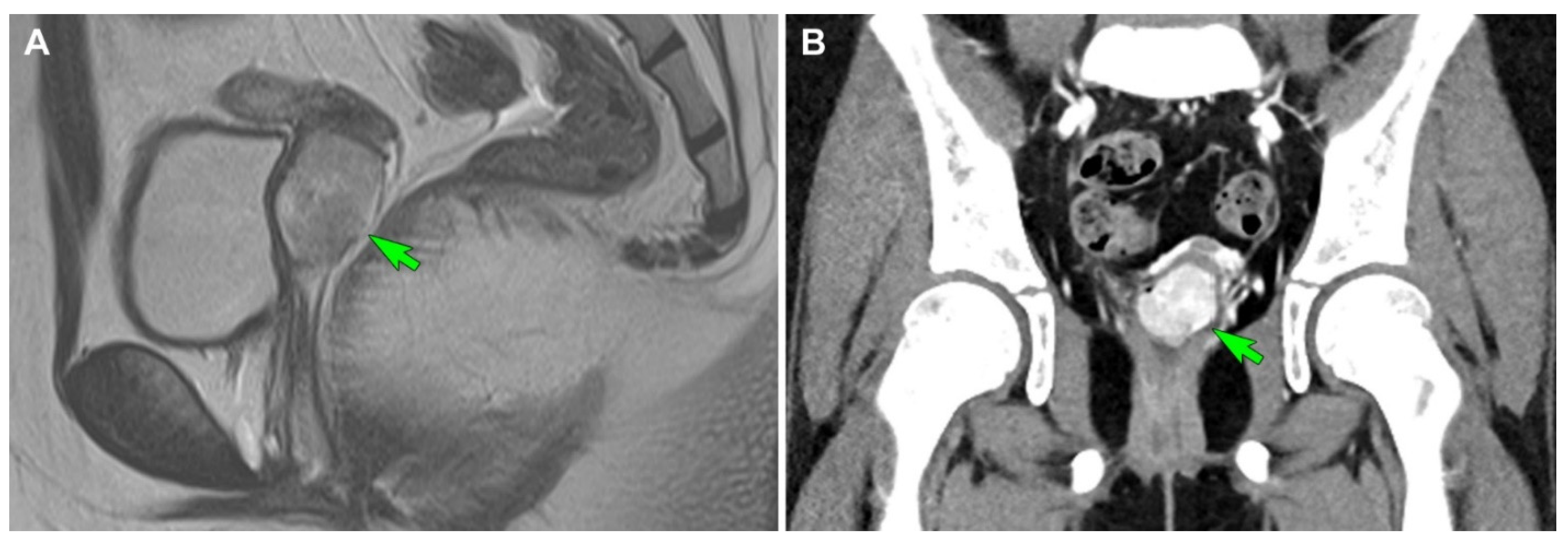 Diagnostics 12 01102 g004