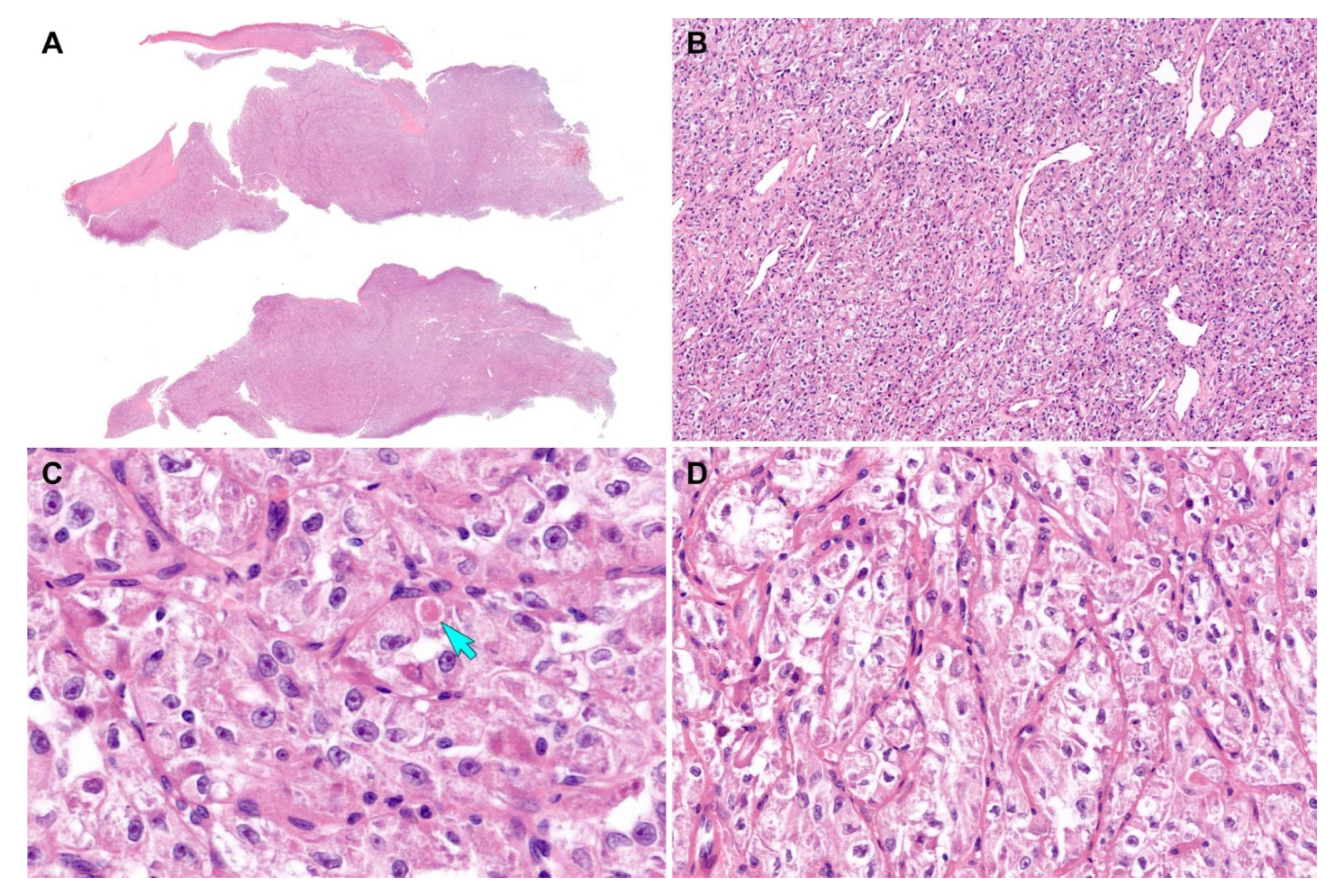 Diagnostics 12 01102 g005