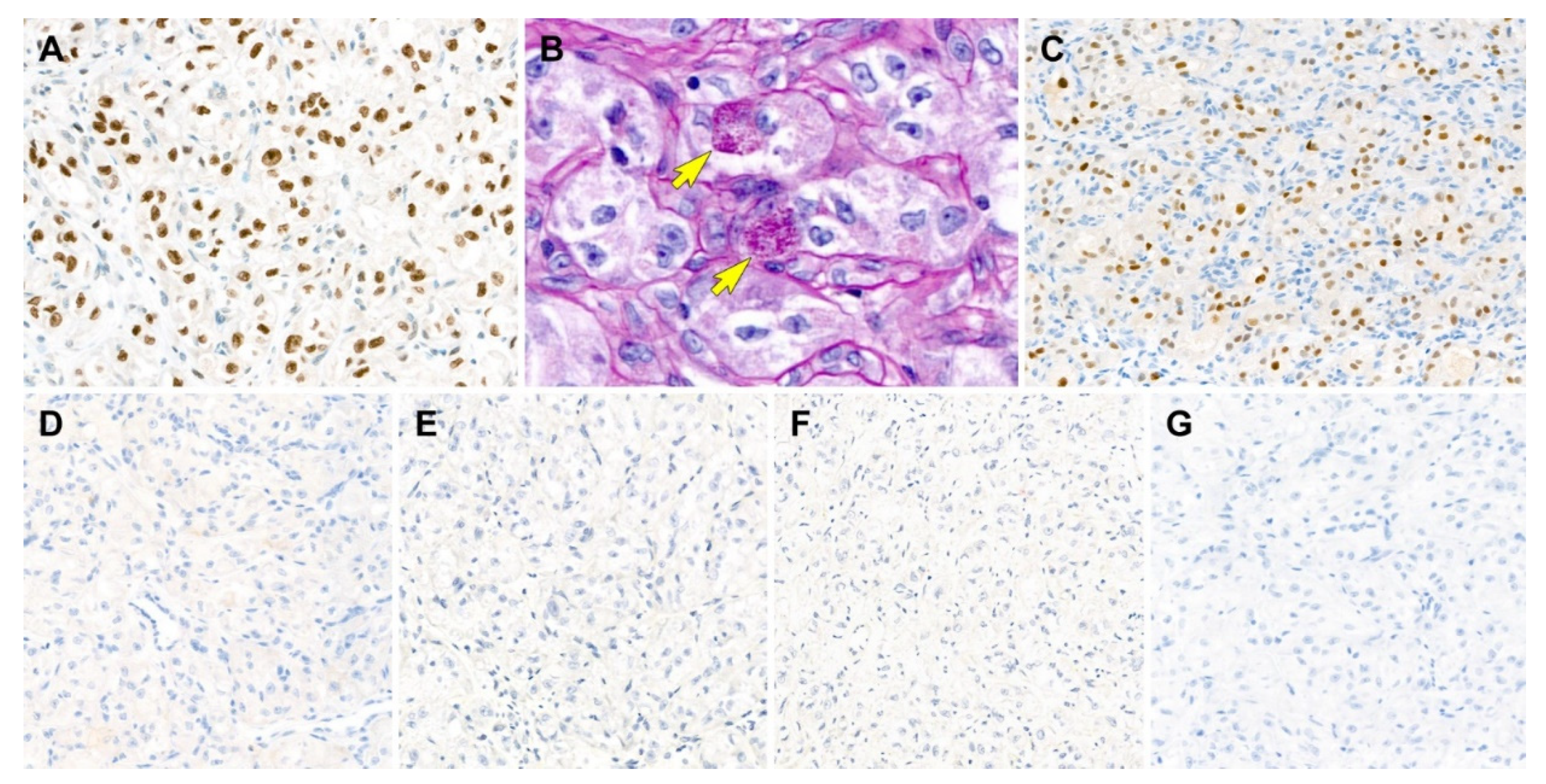 Diagnostics 12 01102 g006