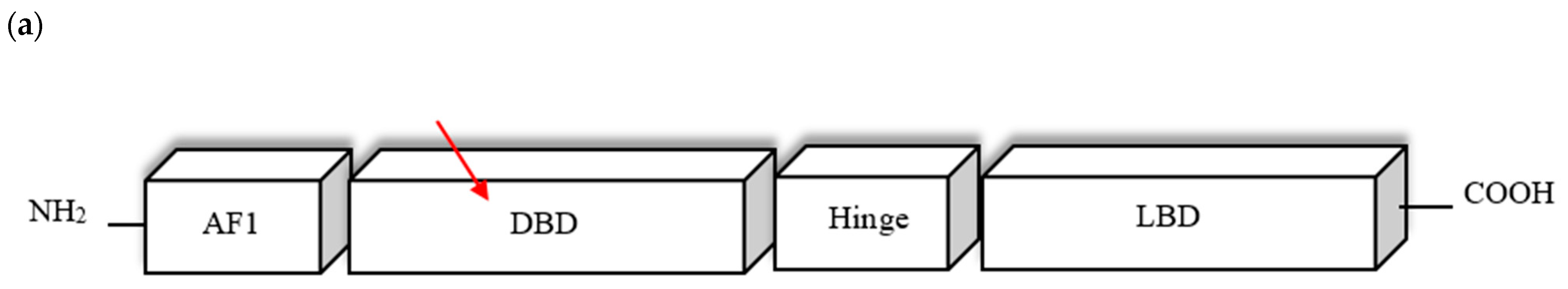 Diagnostics 12 01122 g002a
