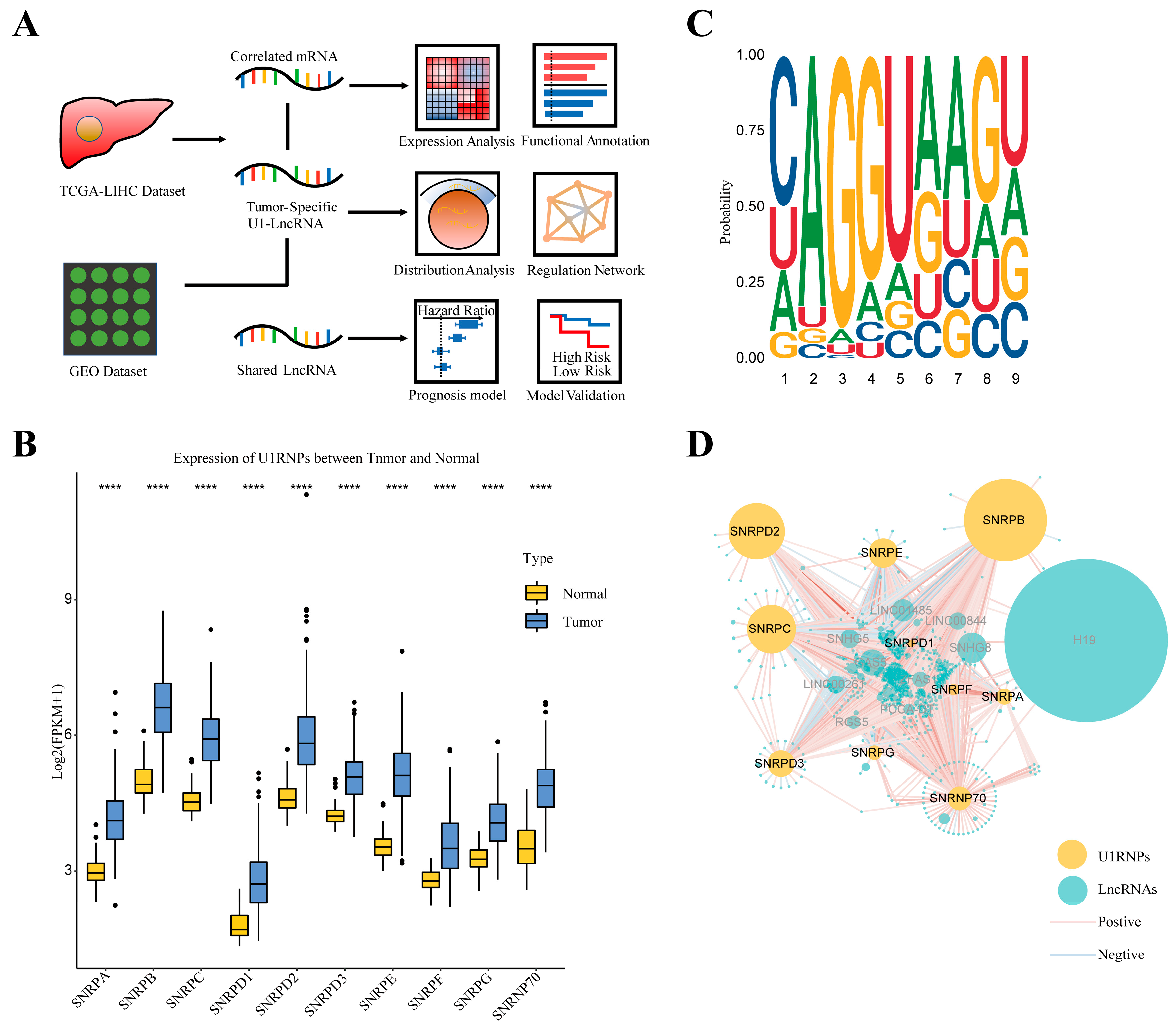 Diagnostics 12 01133 g001