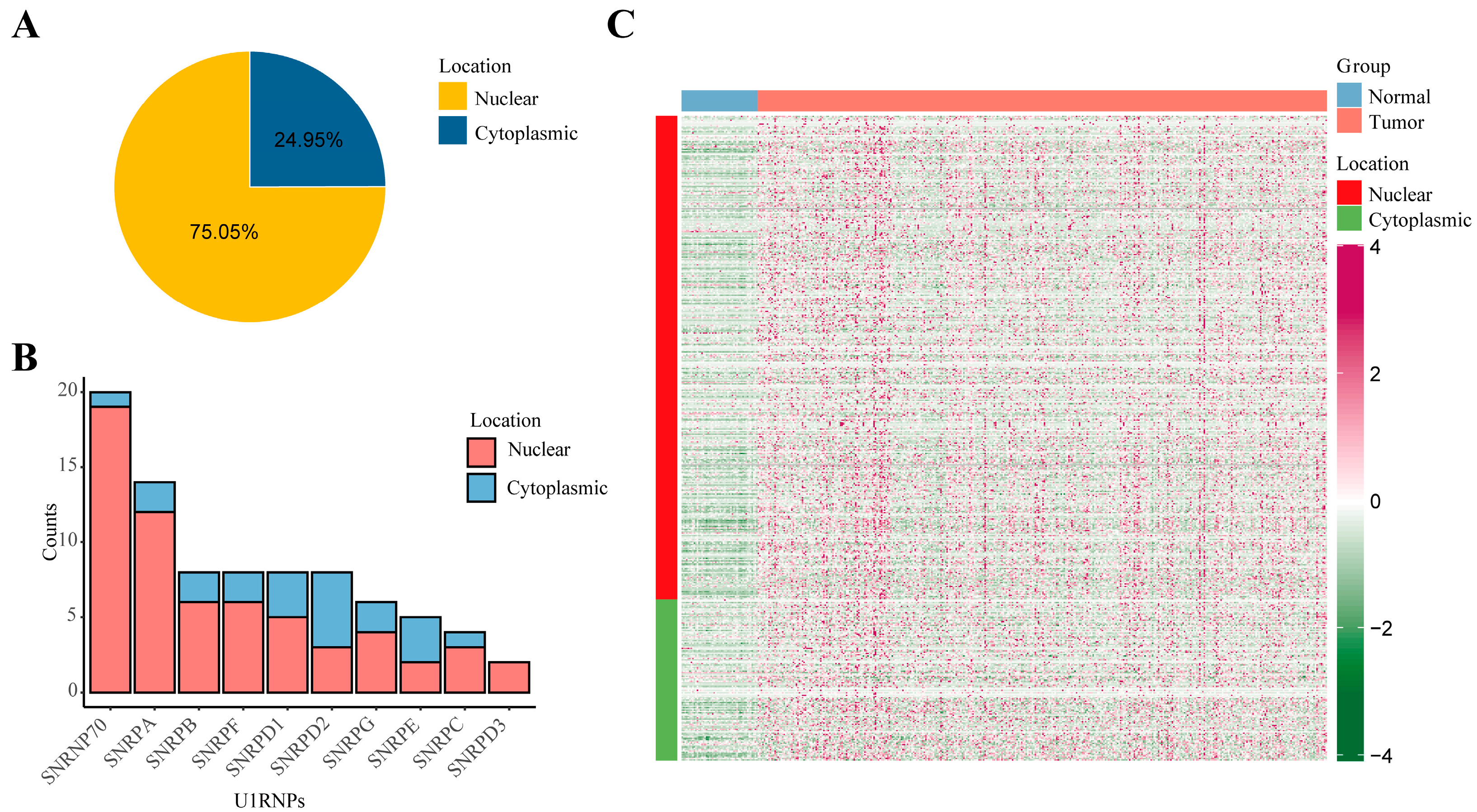 Diagnostics 12 01133 g002