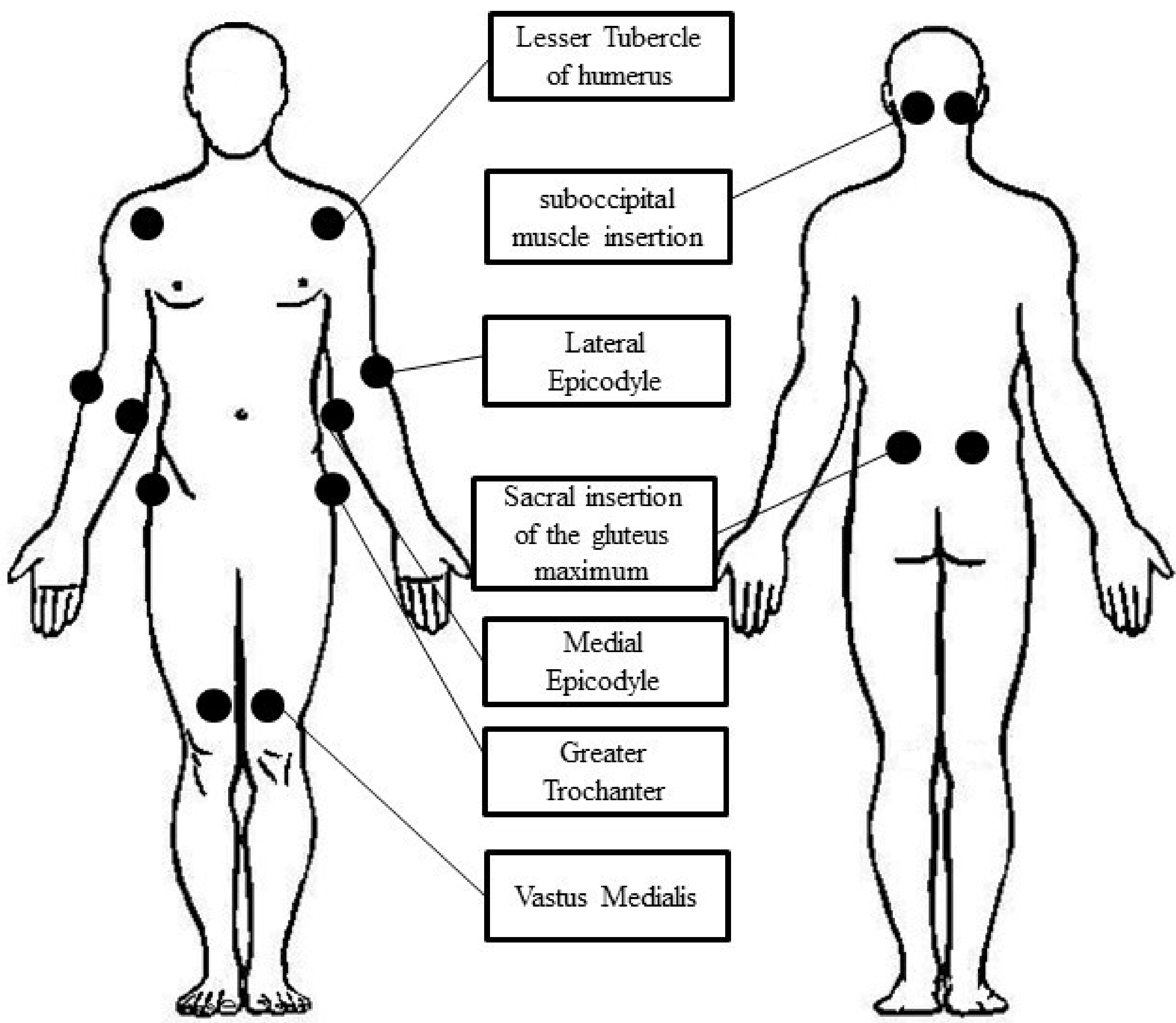 Diagnostics 12 01139 g001