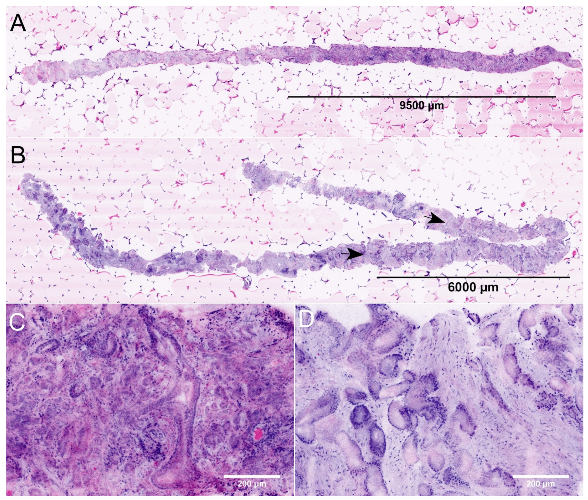 Diagnostics 12 01146 g001
