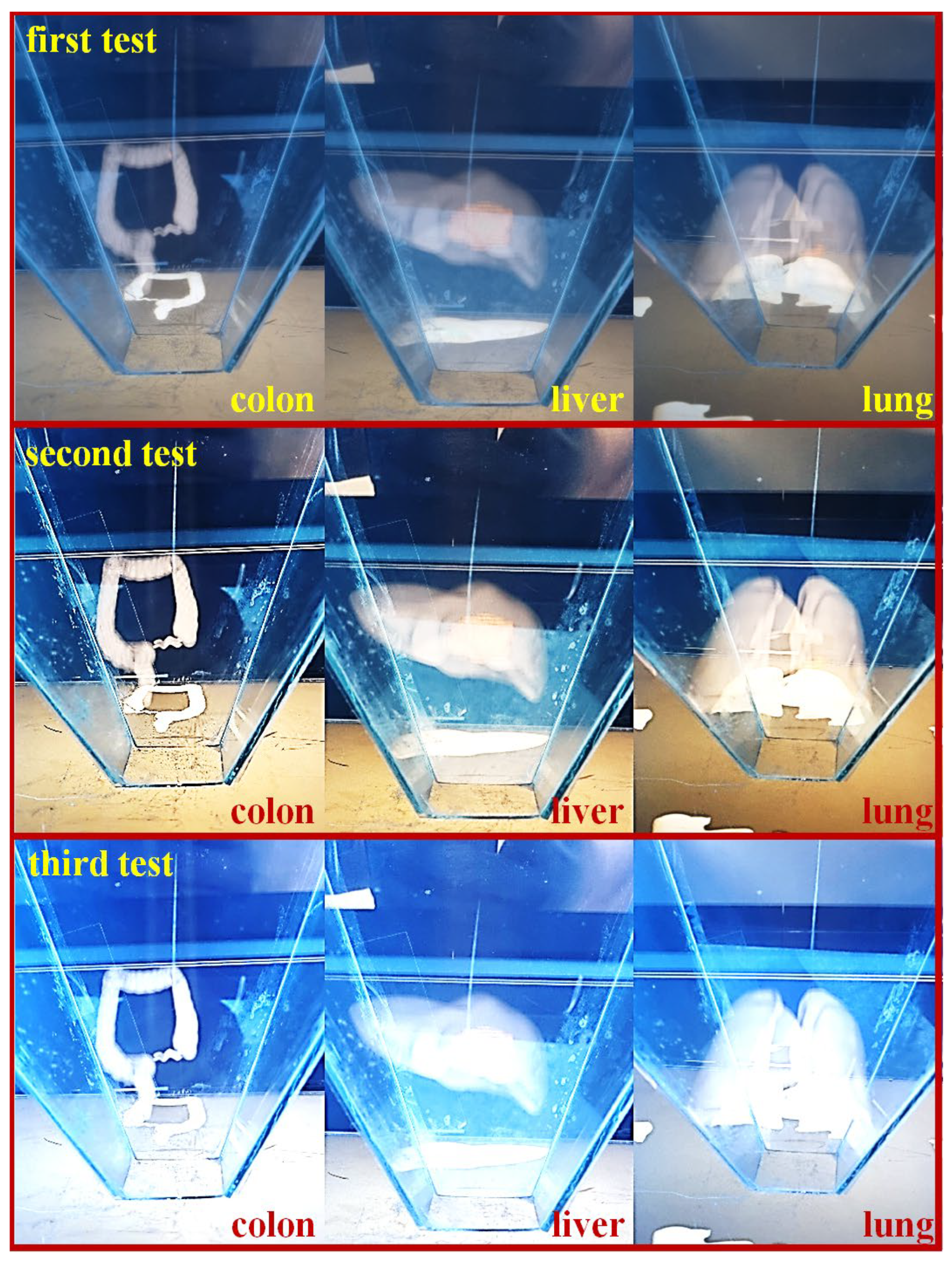 Diagnostics 12 01157 g010