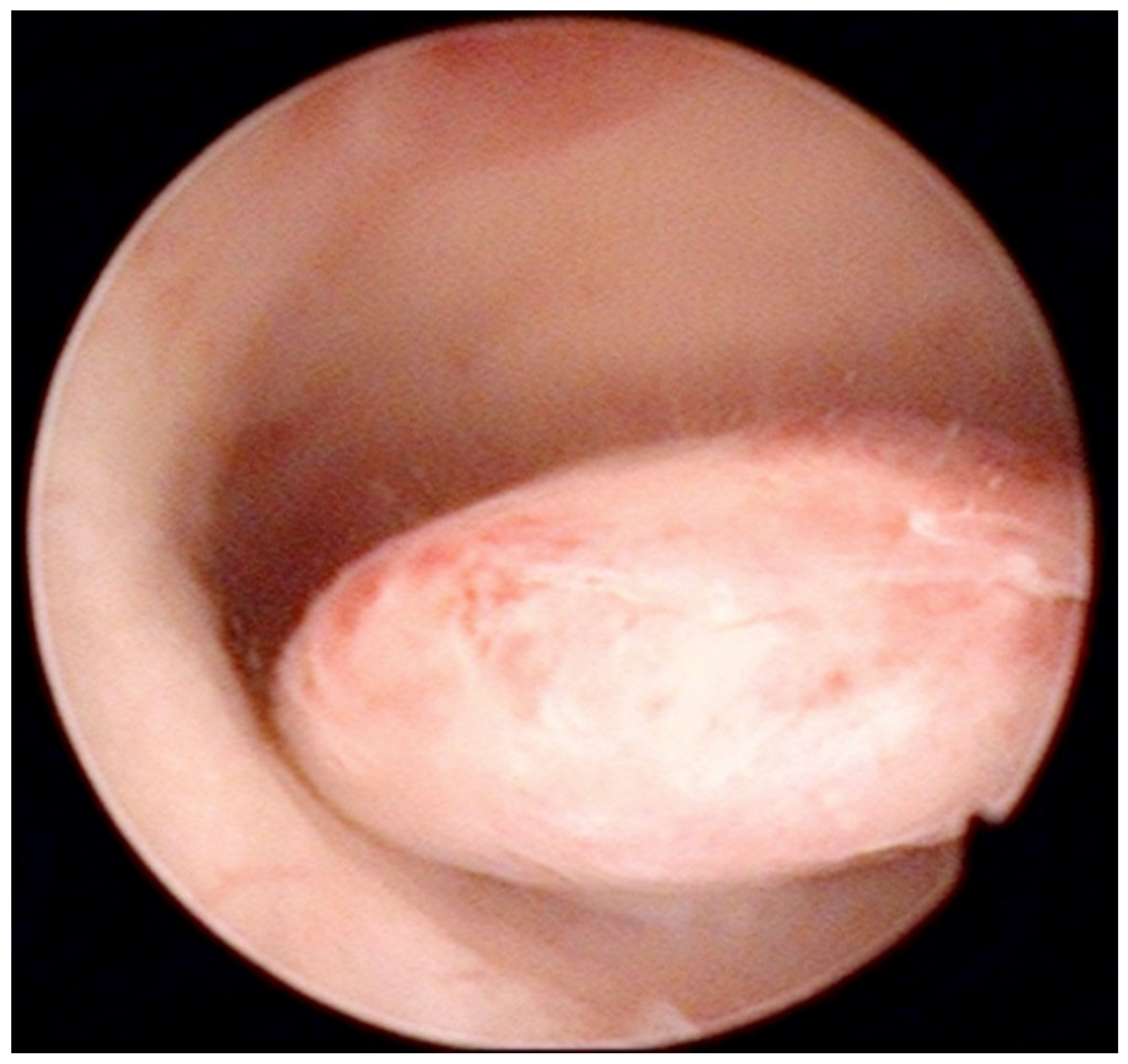 Diagnostics 12 01176 g002 Diagnostics 12 01176 g002