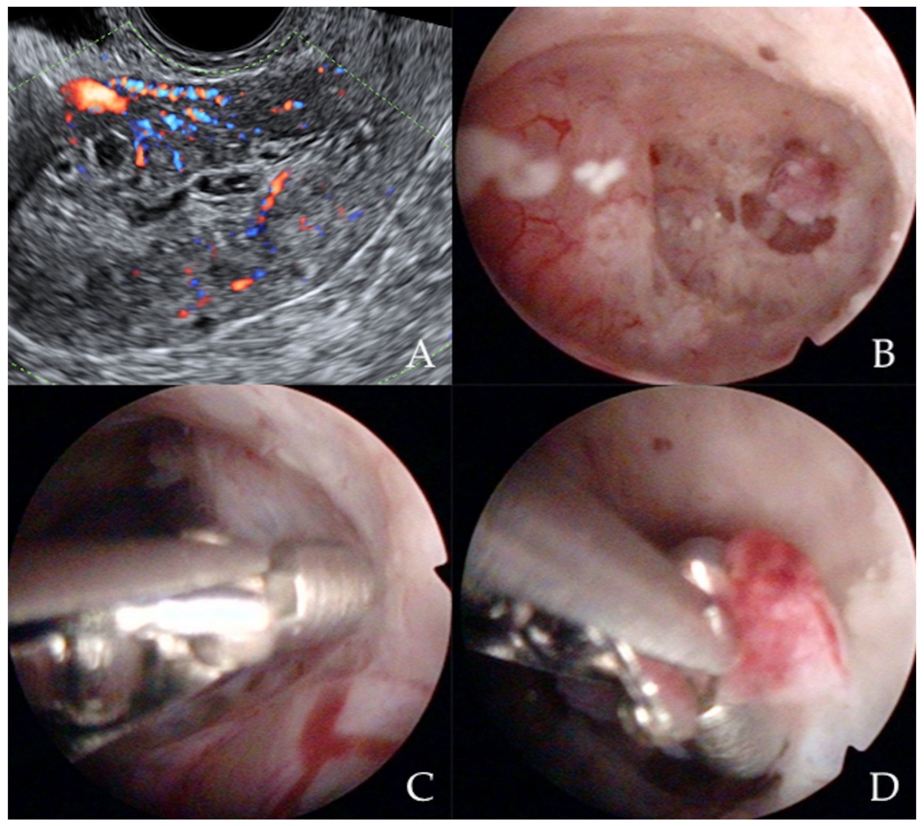 Diagnostics 12 01176 g003 Diagnostics 12 01176 g003