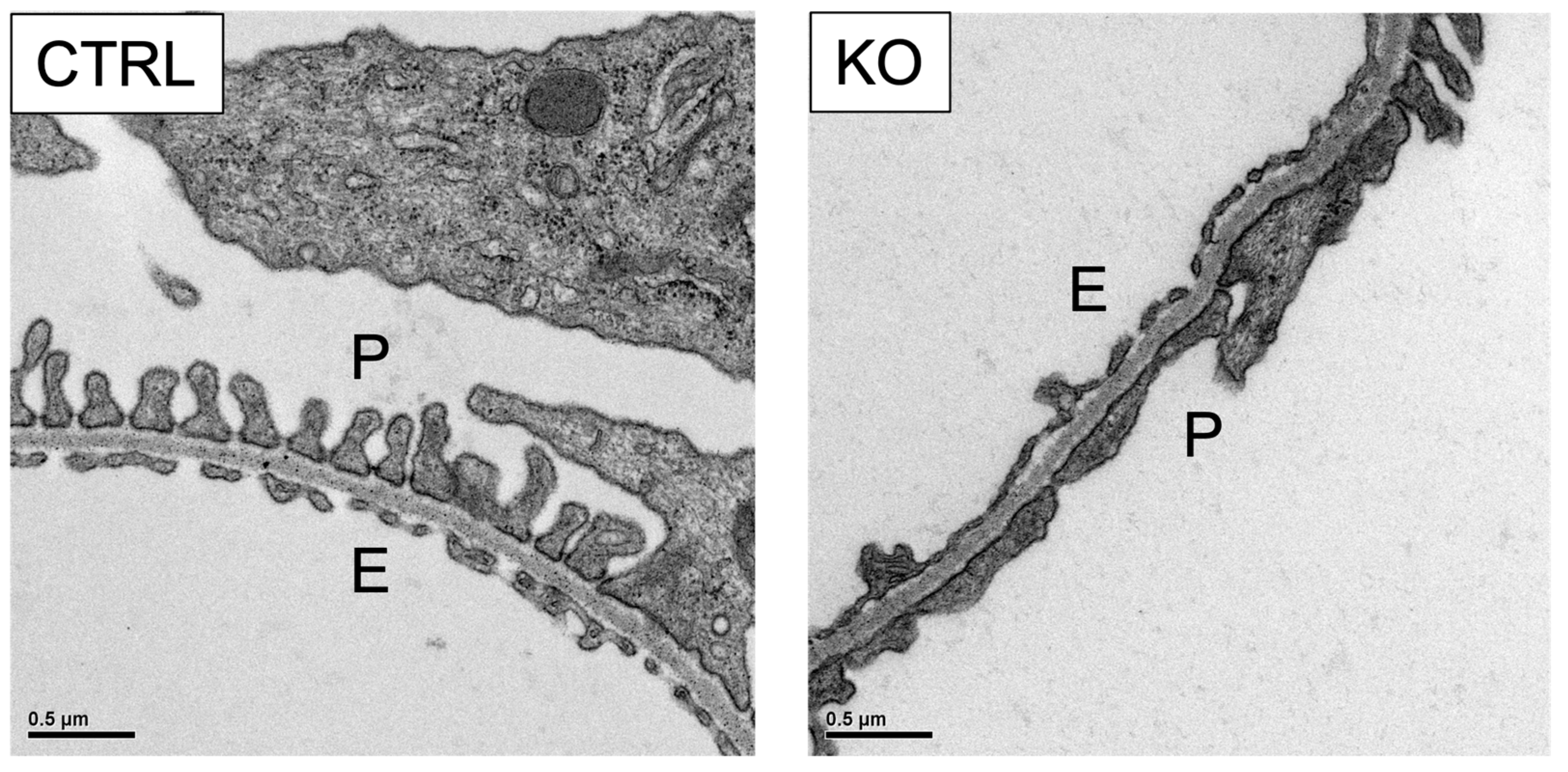 Diagnostics 12 01181 g002 Diagnostics 12 01181 g002