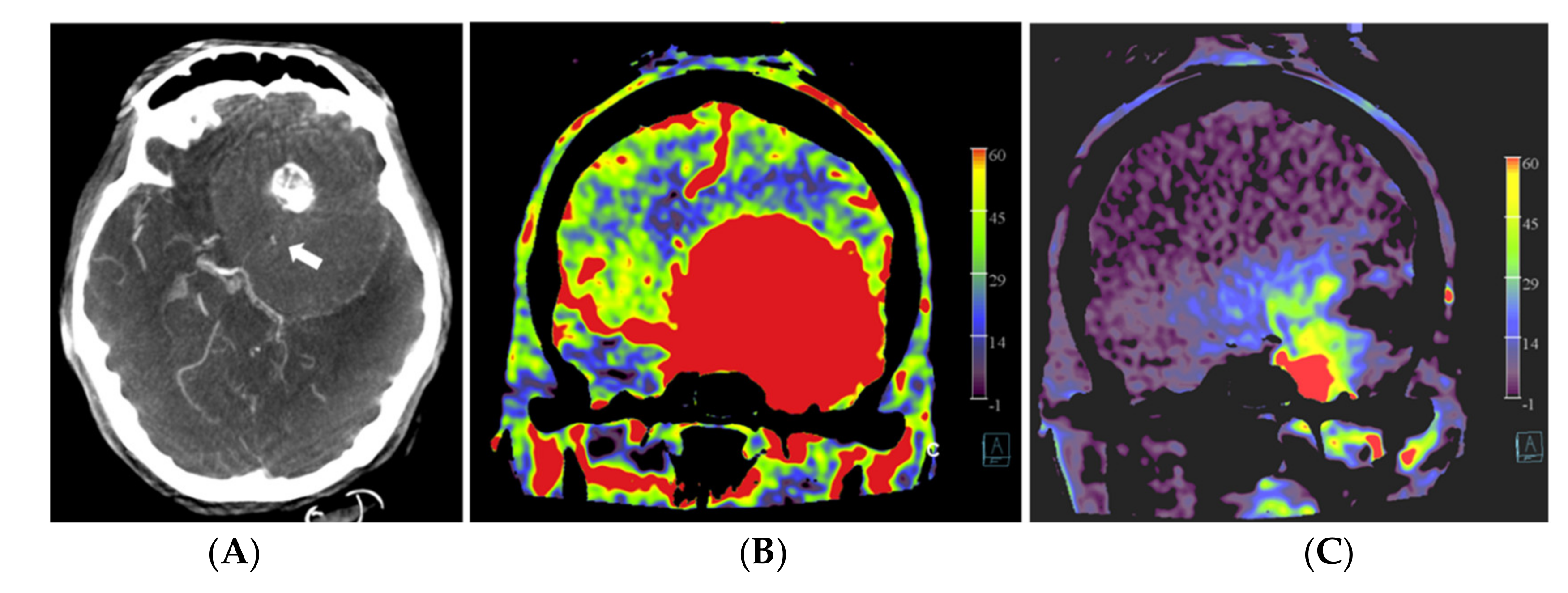 Diagnostics 12 01185 g003