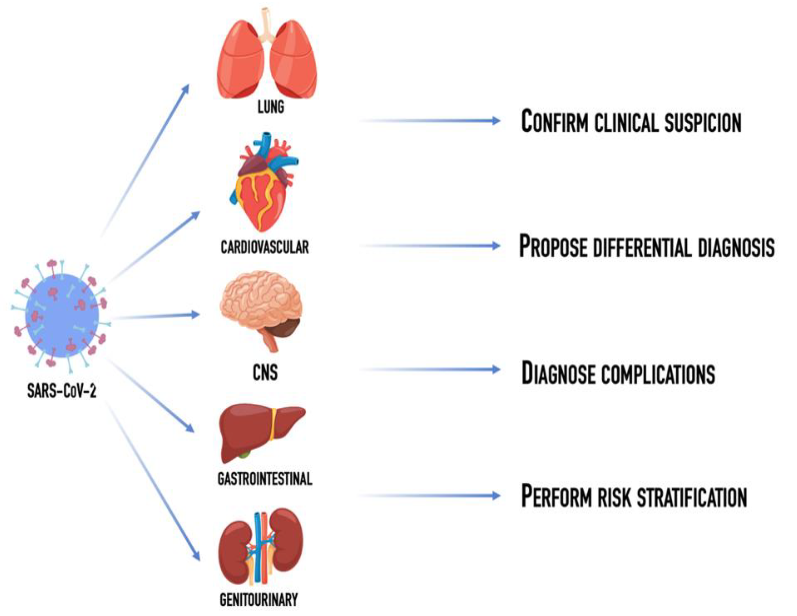 Diagnostics 12 01188 g001