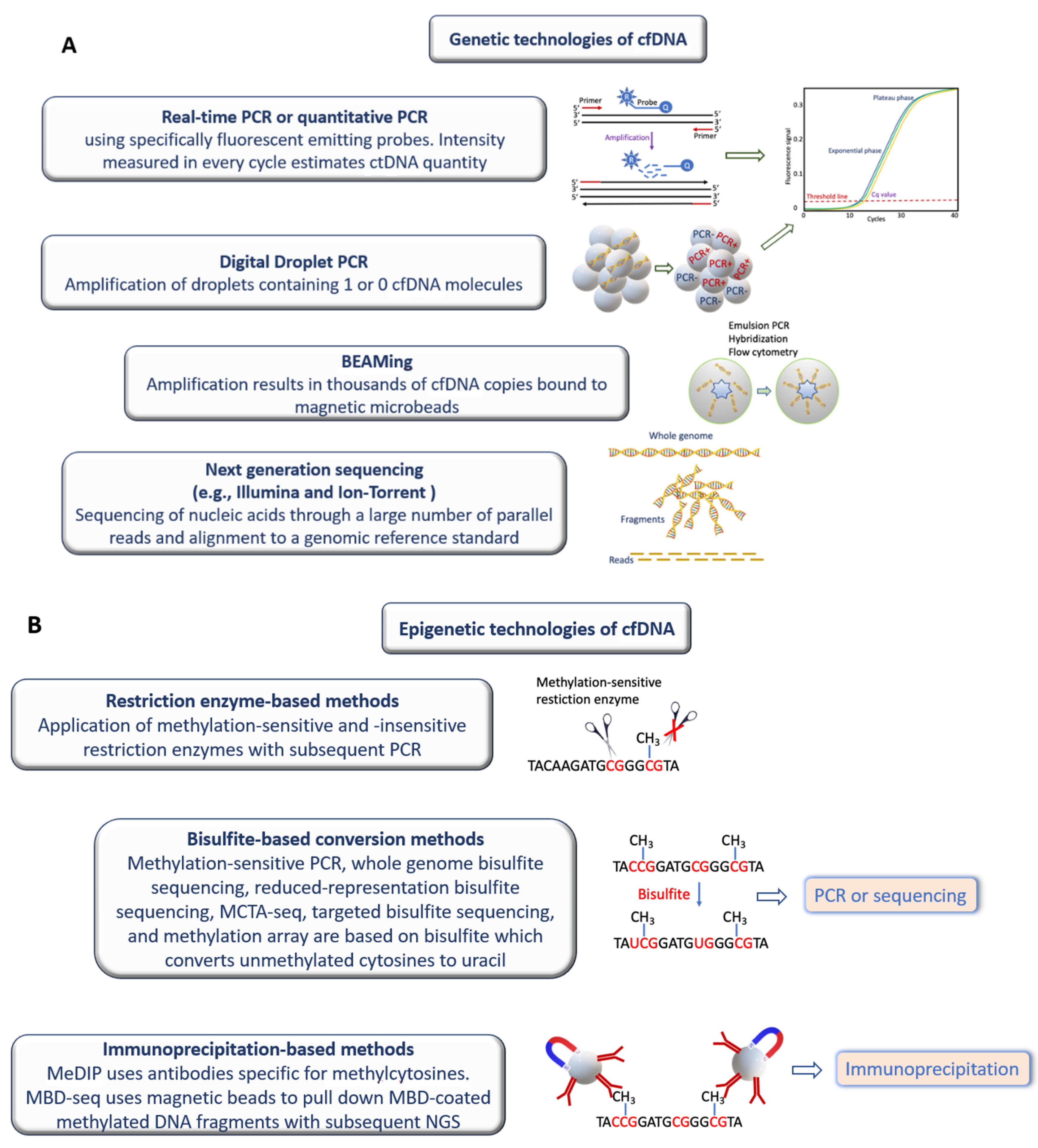 Diagnostics 12 01192 g001