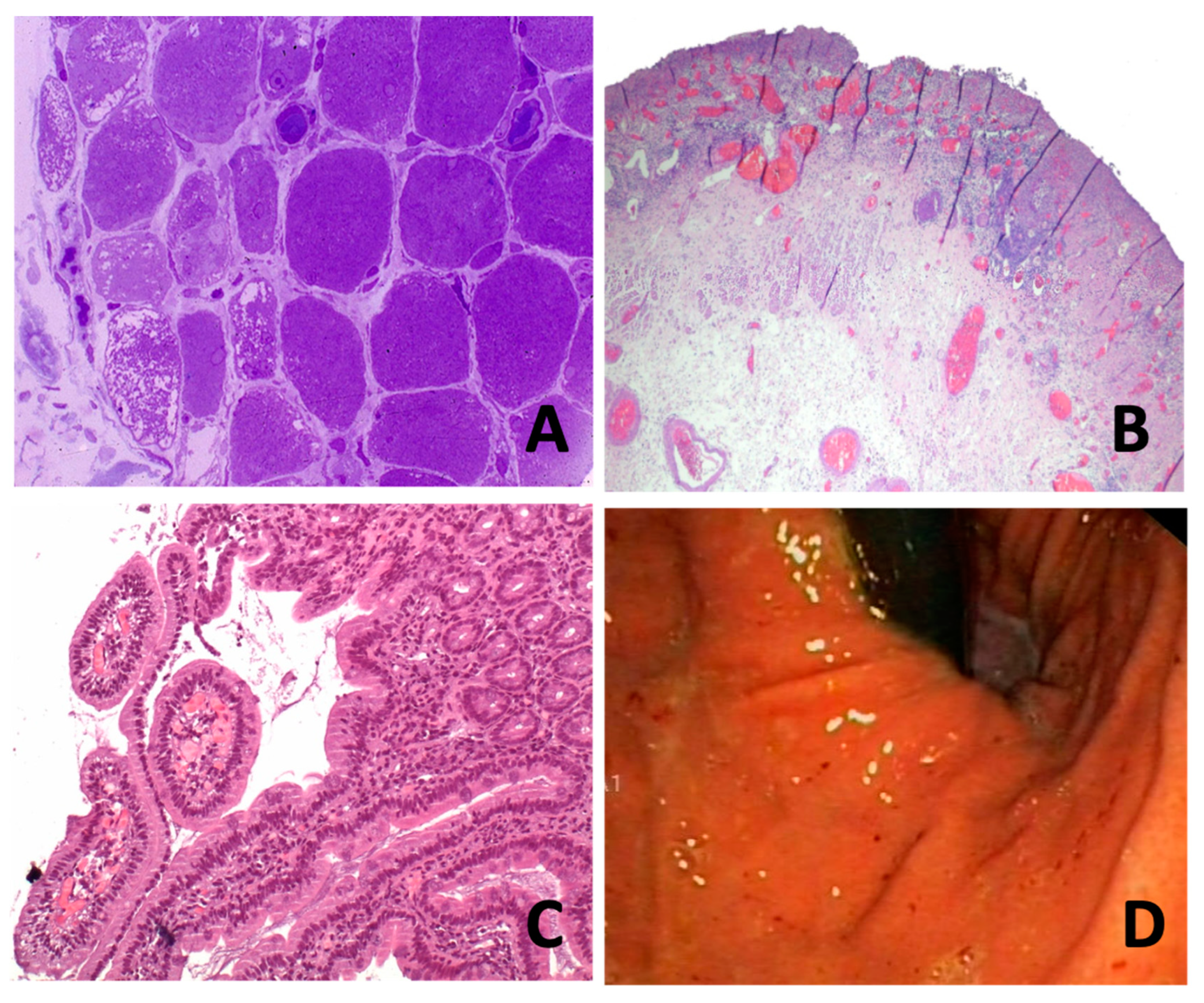 Diagnostics 12 01200 g001