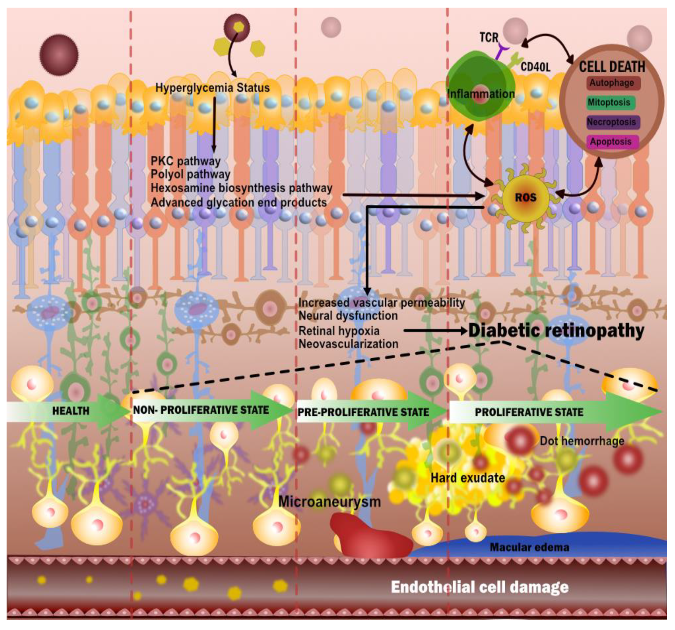 Diagnostics 12 01234 g003