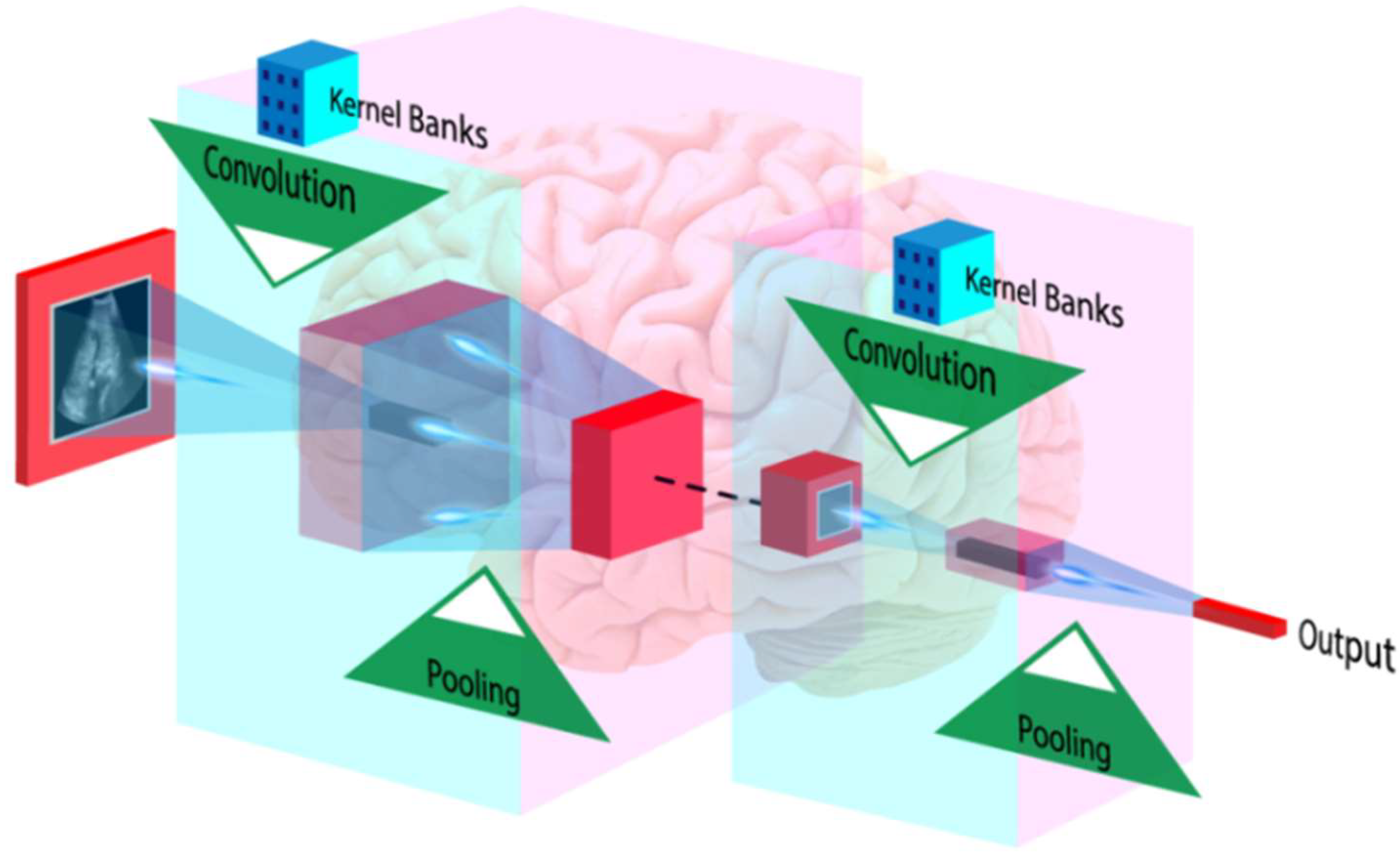 Diagnostics 12 01234 g013