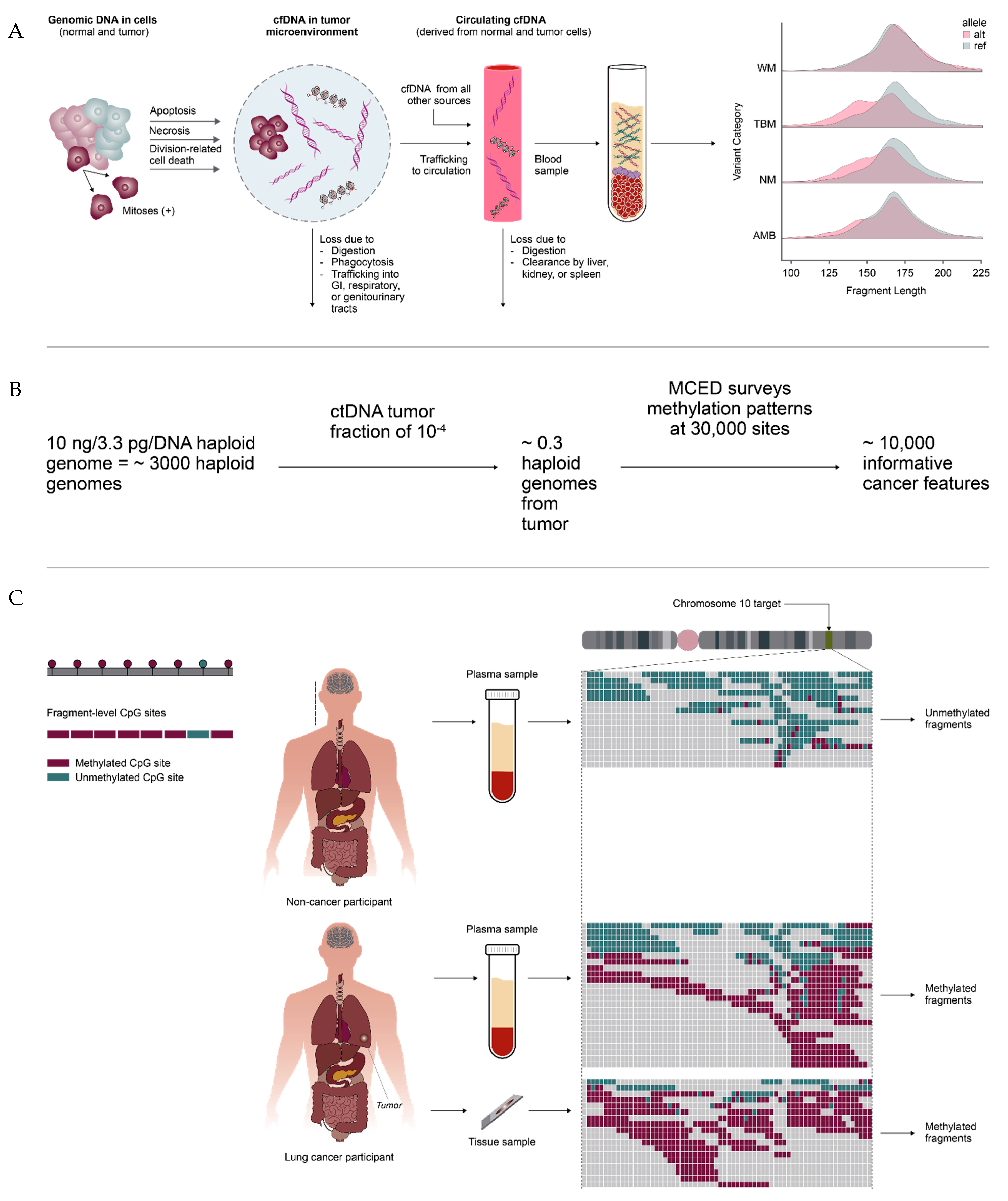 Diagnostics 12 01243 g001