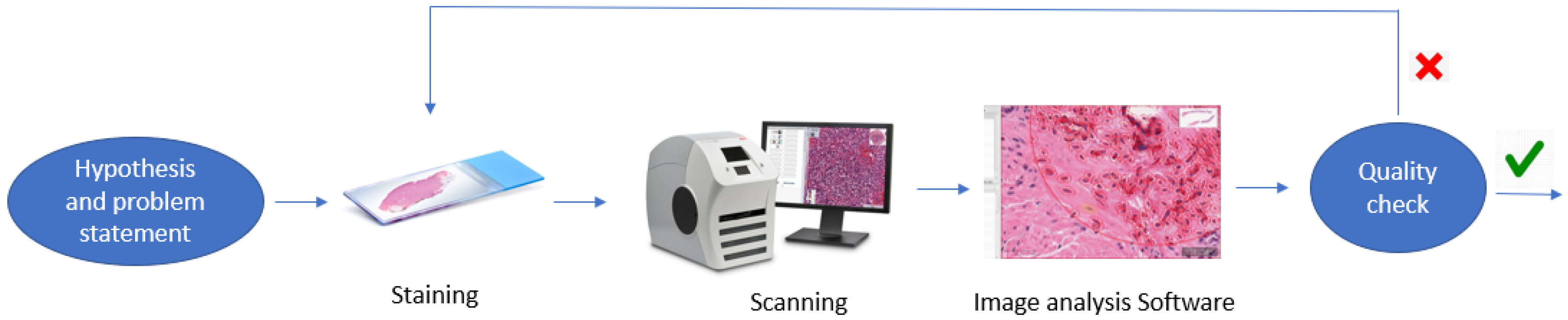 Diagnostics 12 01272 g001