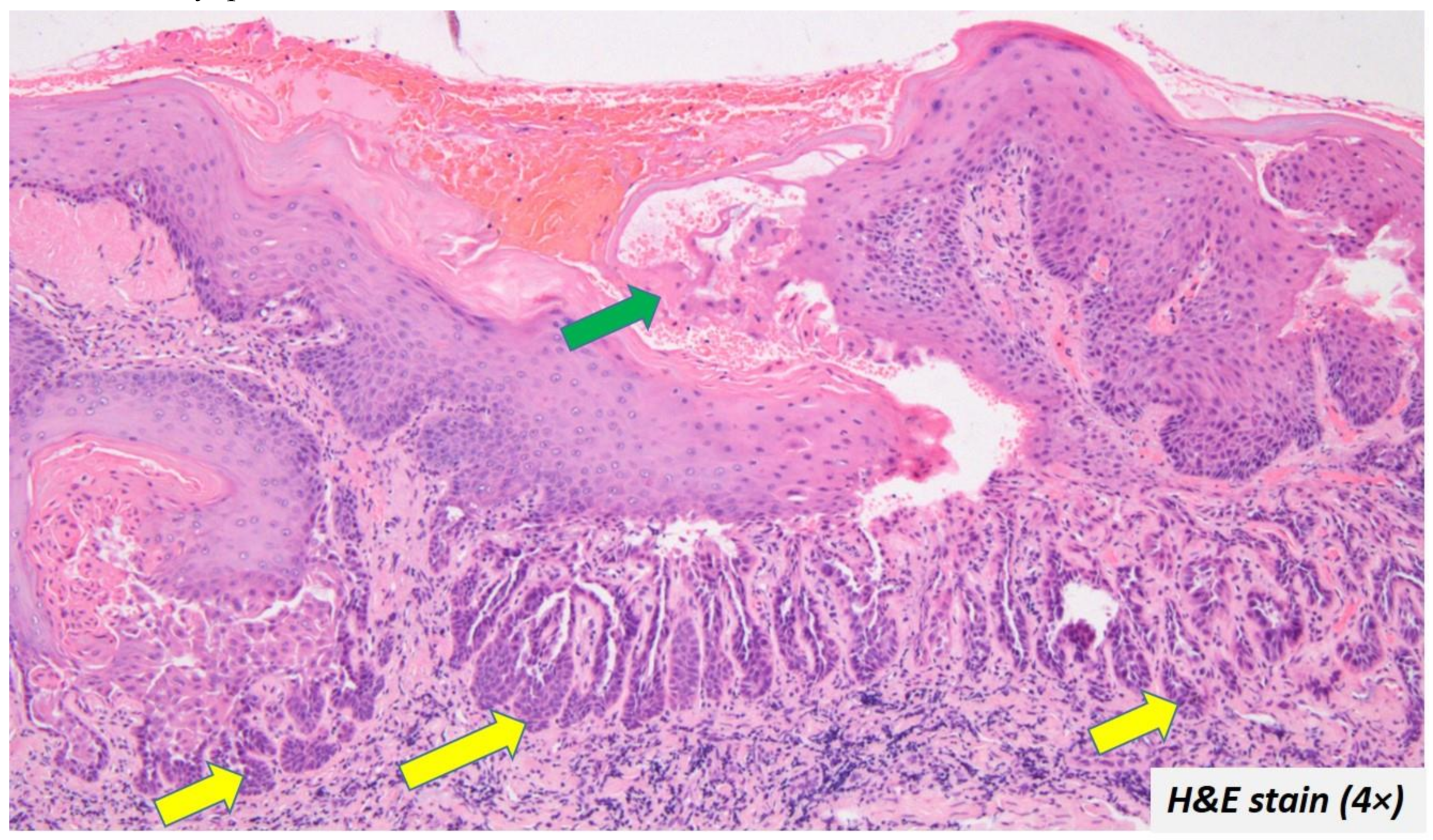 Diagnostics 12 01273 g004 Diagnostics 12 01273 g004