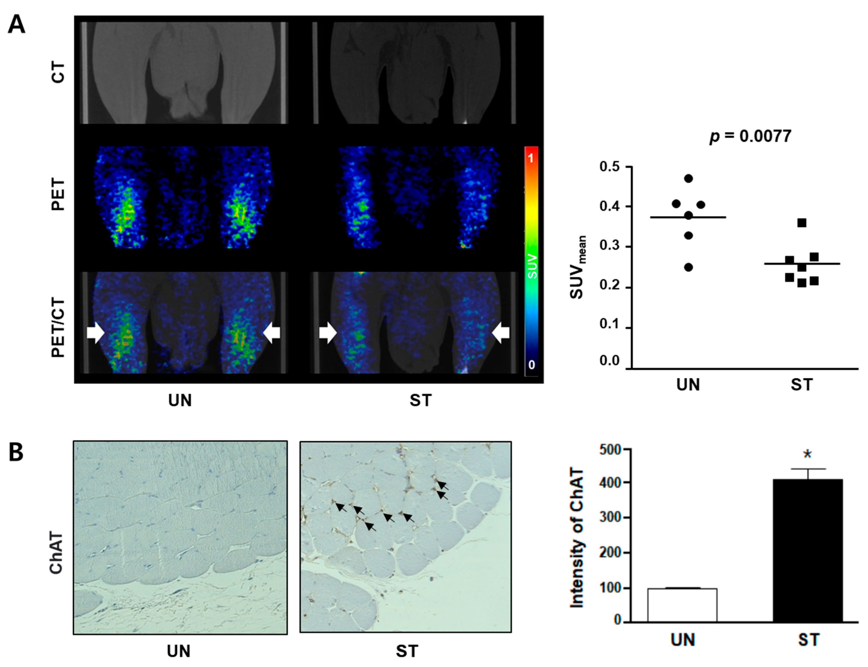 Diagnostics 12 01274 g003