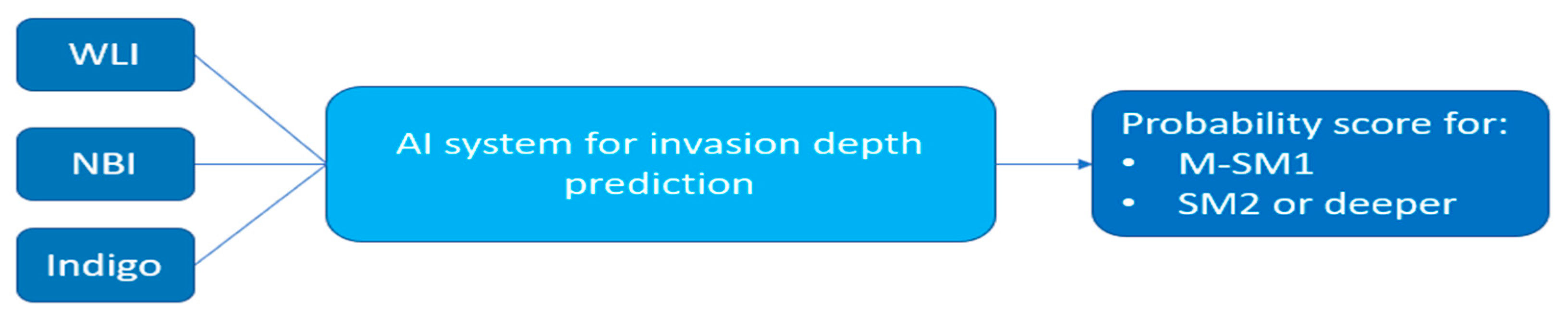 Diagnostics 12 01278 g006