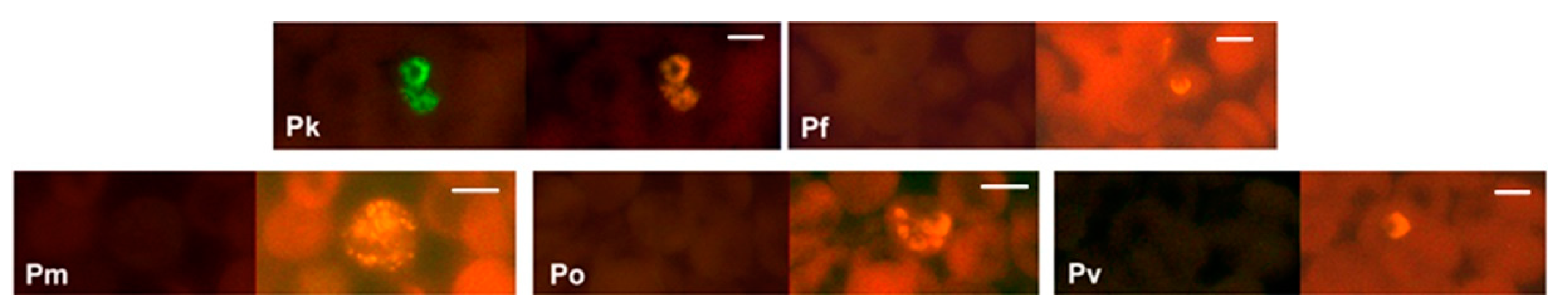 Diagnostics 12 01286 g004