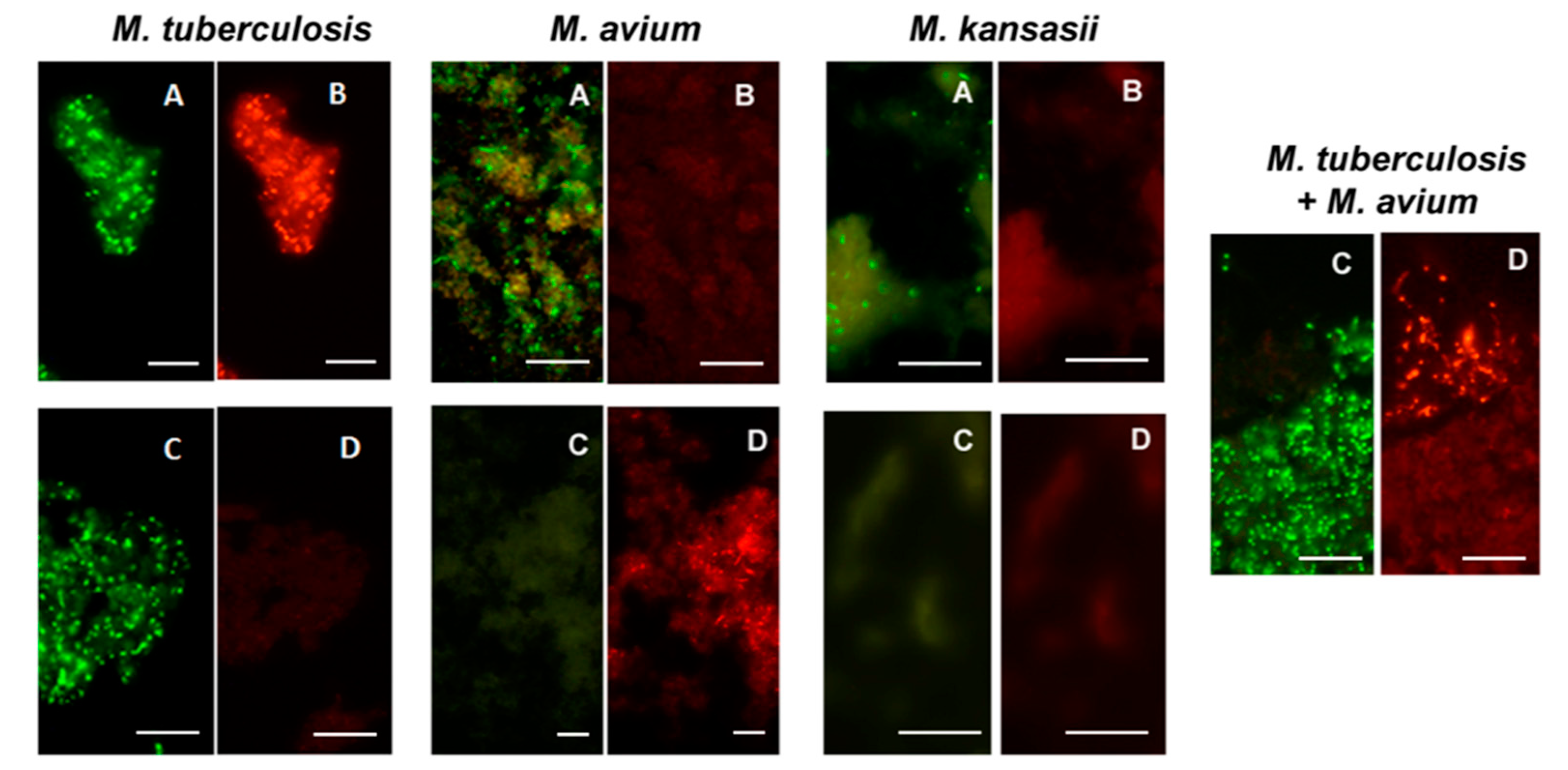 Diagnostics 12 01286 g007
