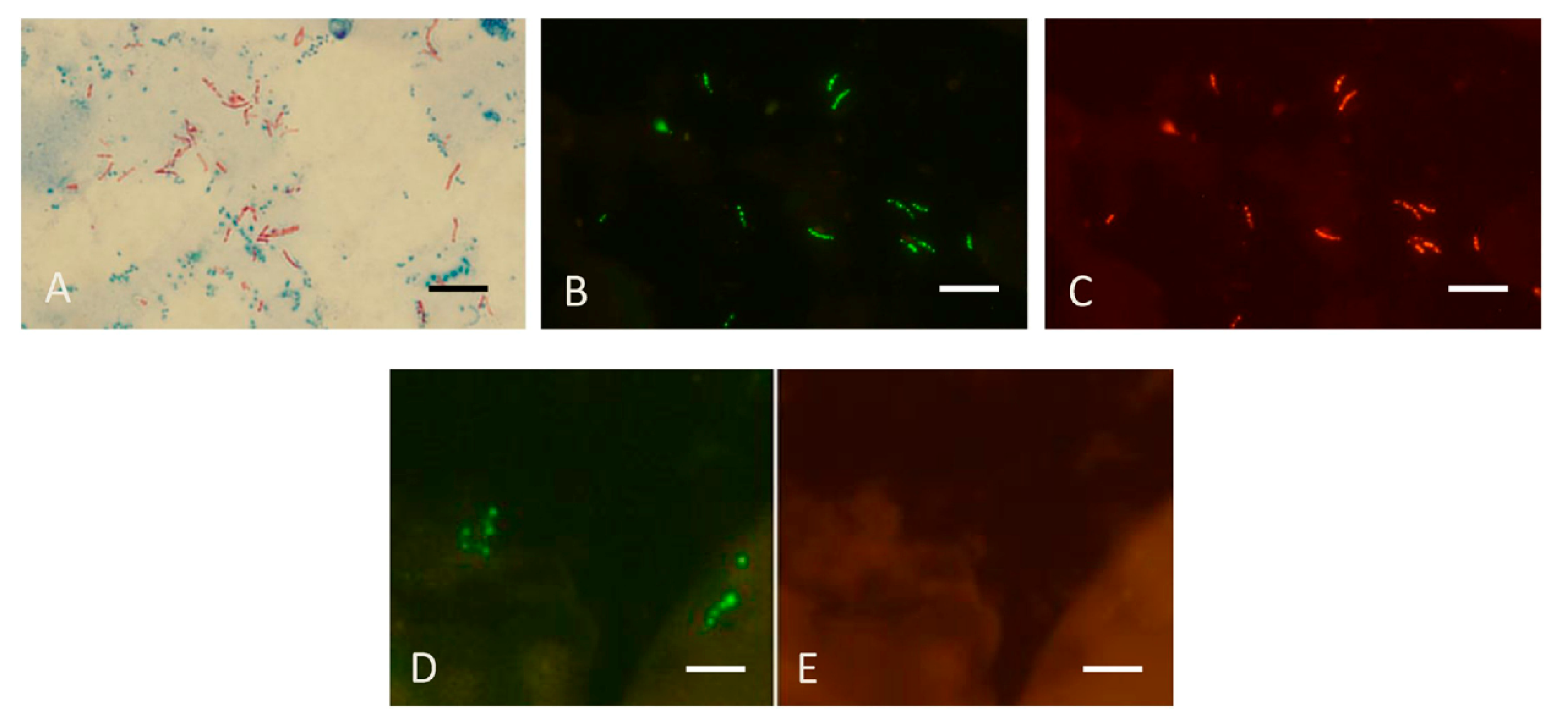 Diagnostics 12 01286 g008