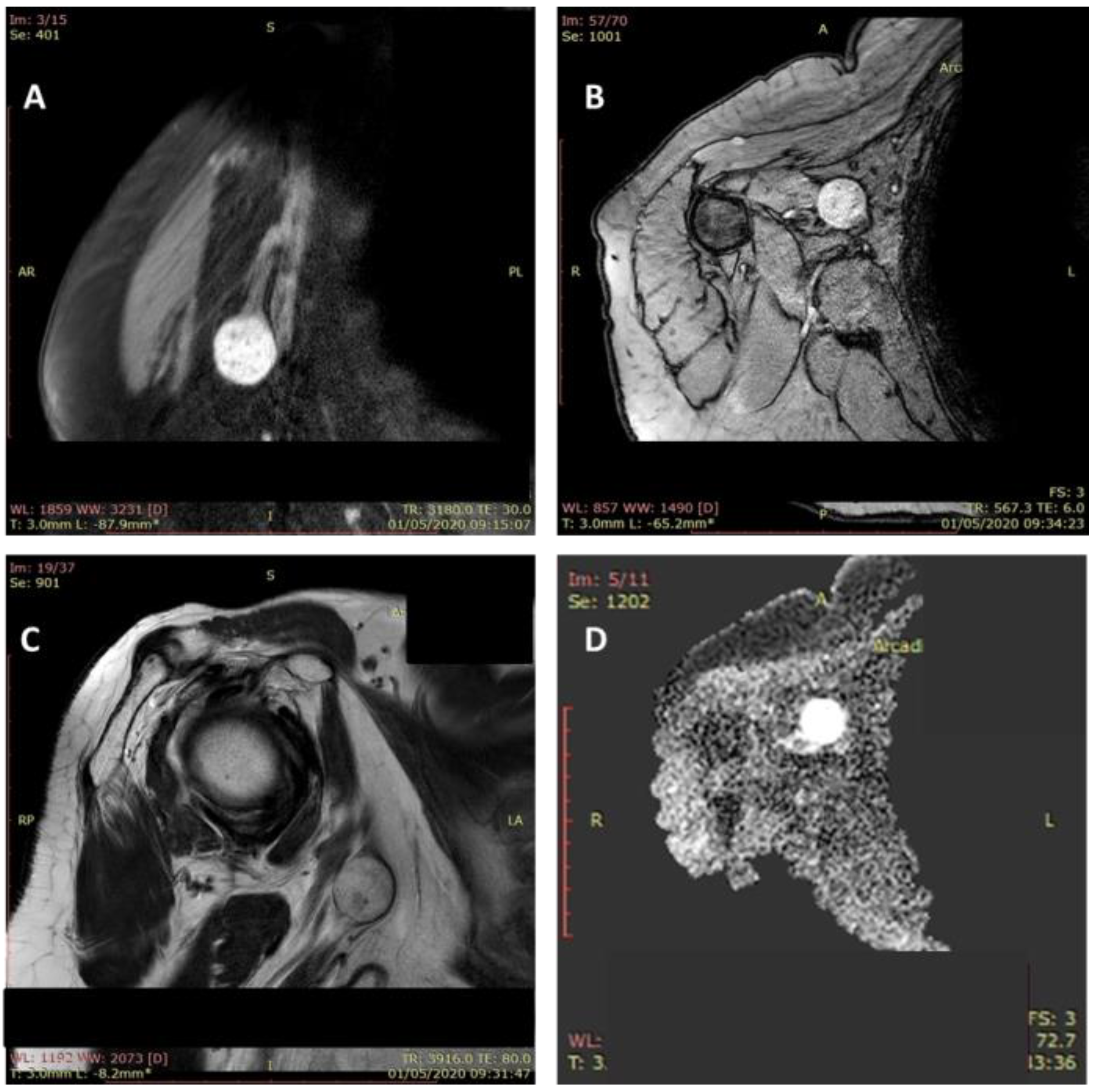 Diagnostics 12 01319 g004