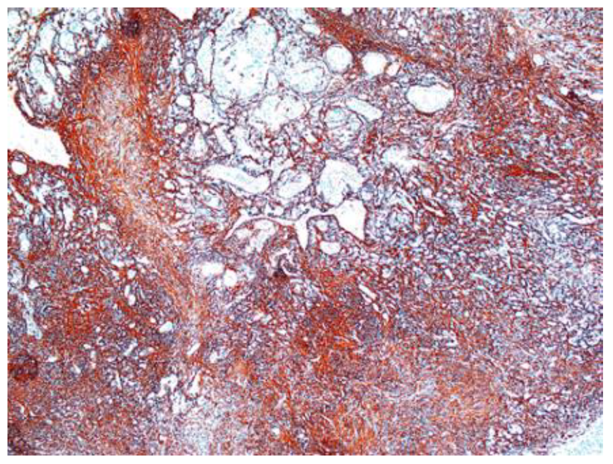 Diagnostics 12 01319 g010