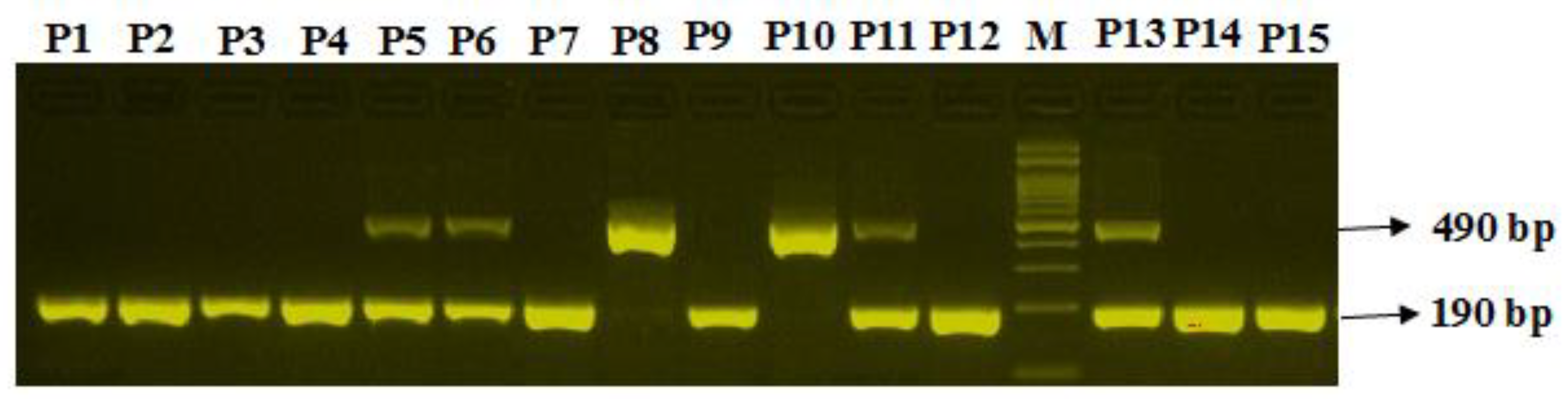 Diagnostics 12 01321 g001