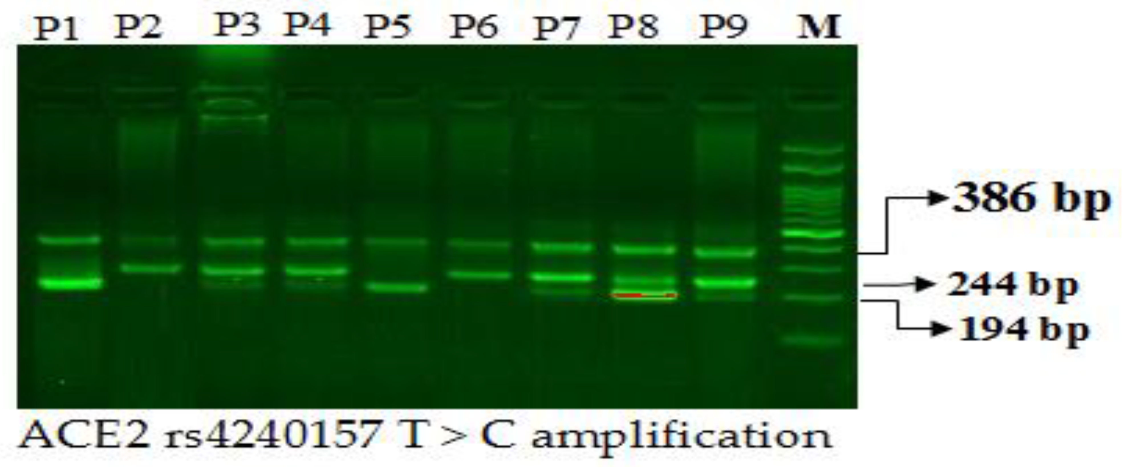 Diagnostics 12 01321 g002