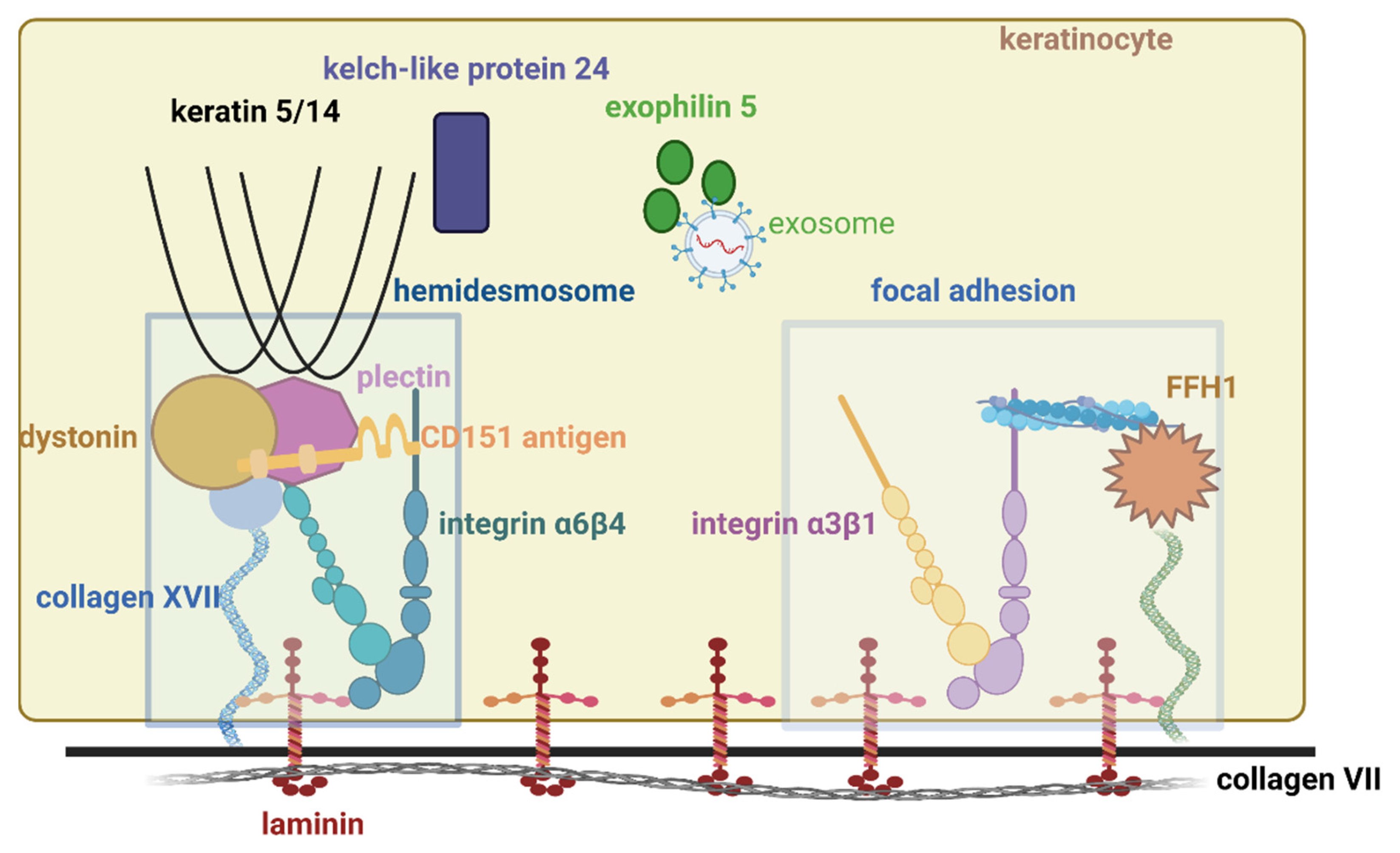 Diagnostics 12 01325 g001