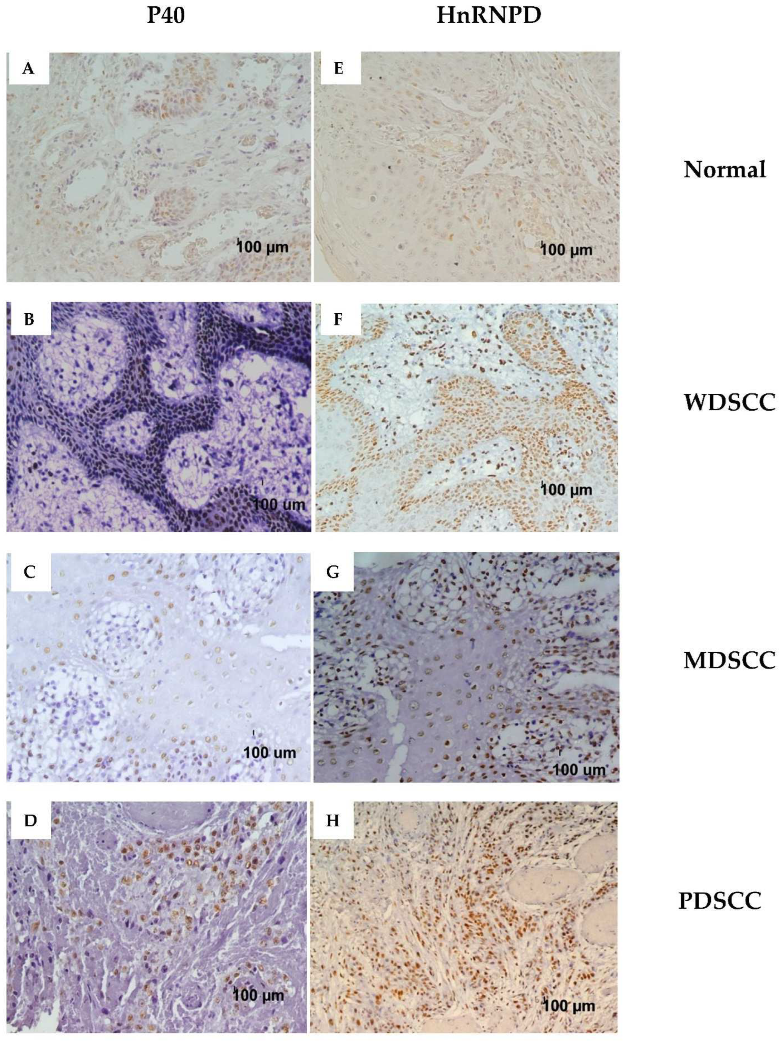 Diagnostics 12 01332 g001 Diagnostics 12 01332 g001