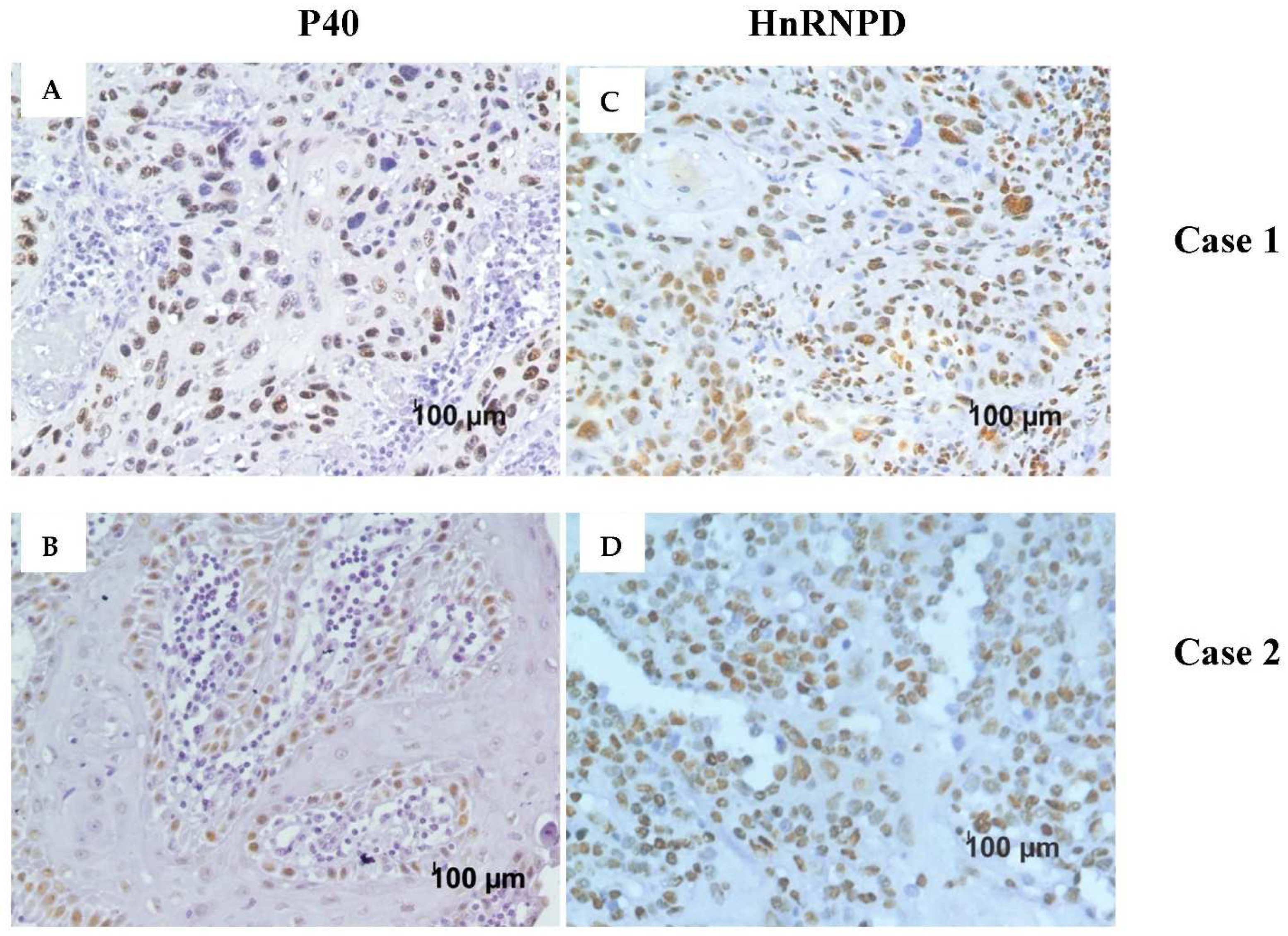 Diagnostics 12 01332 g003 Diagnostics 12 01332 g003