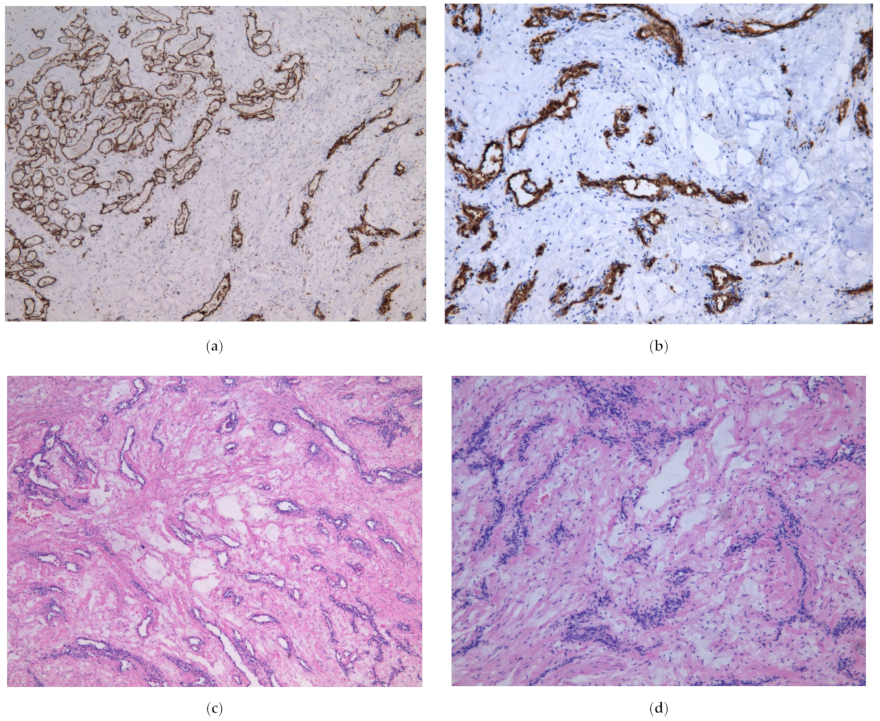 Diagnostics 12 01339 g004a