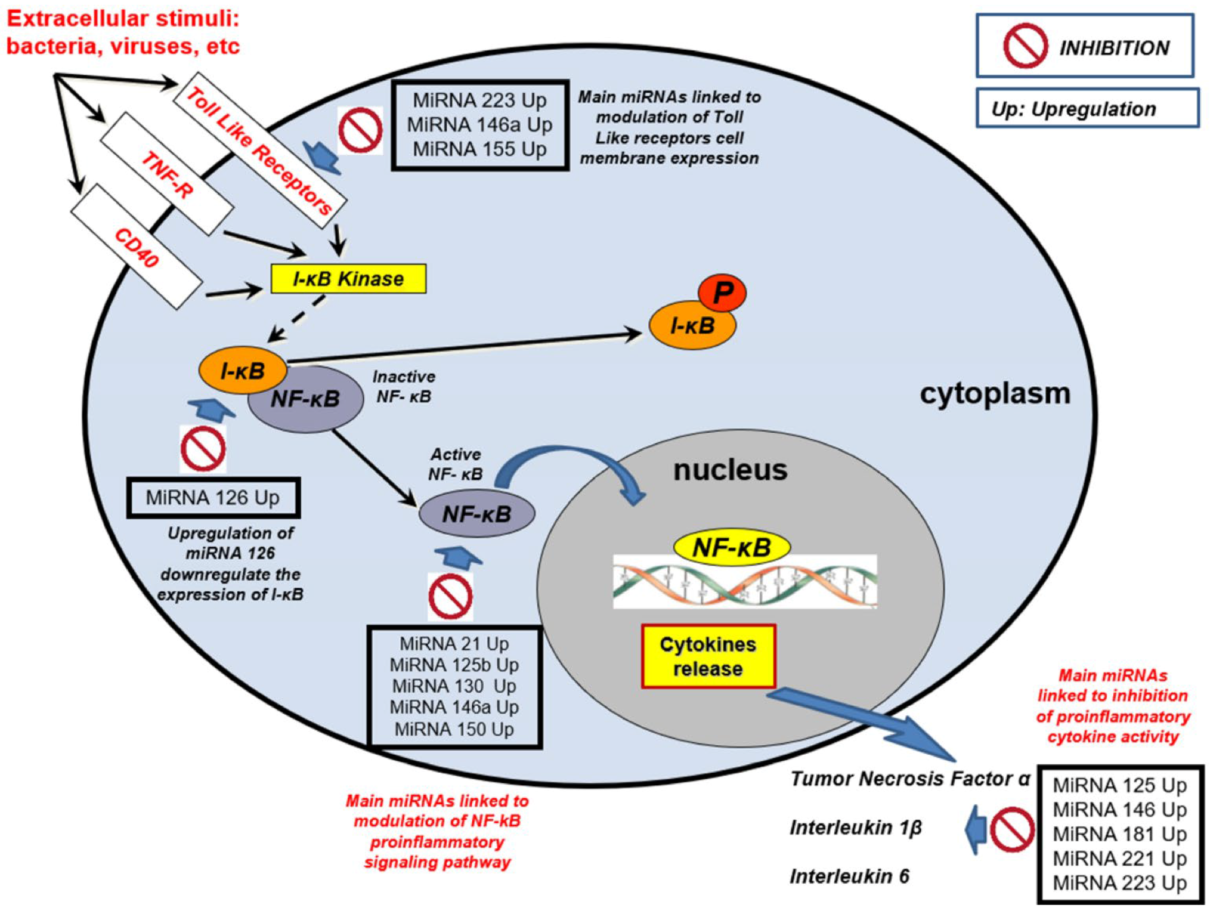 Diagnostics 12 01355 g001