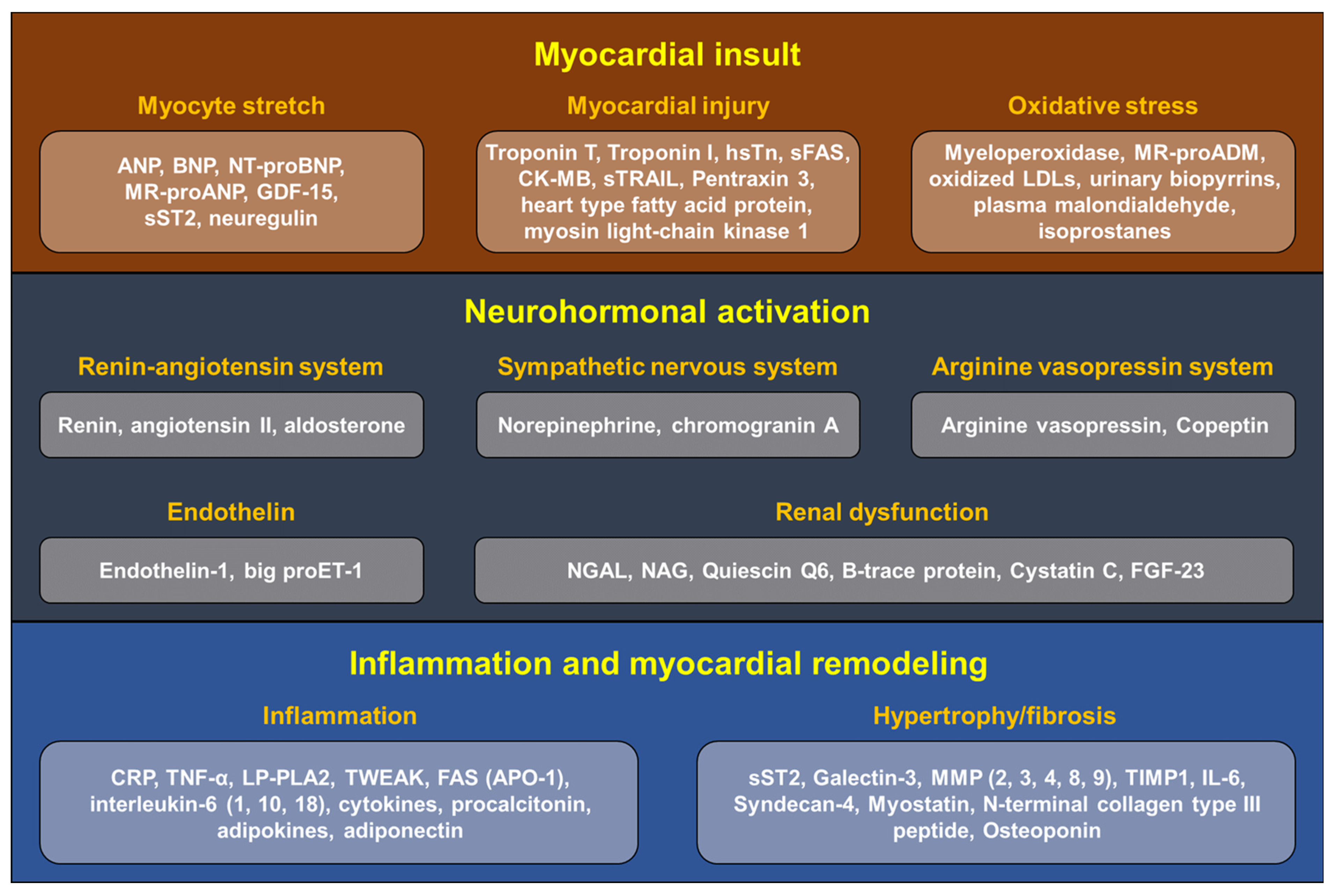 Diagnostics 12 01366 g002